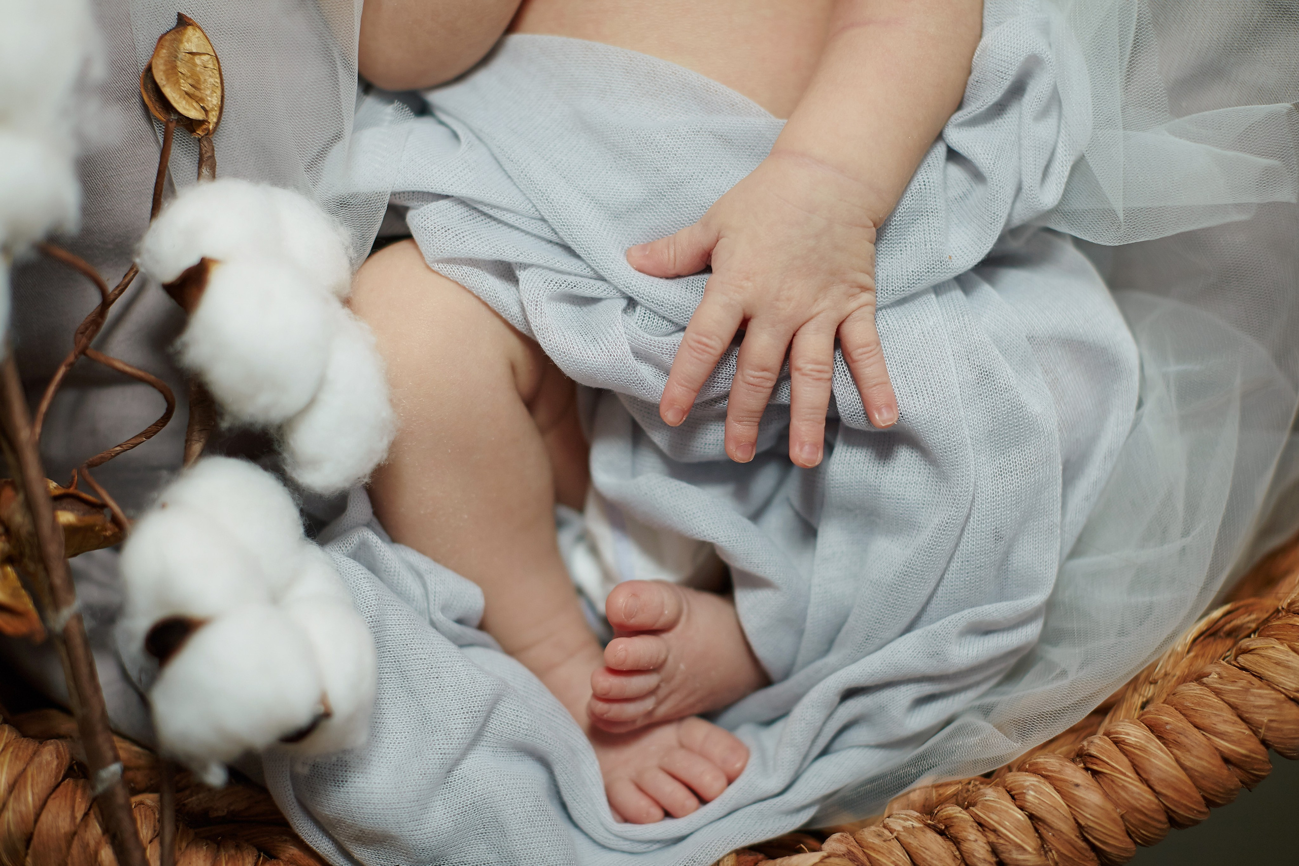 Есения. Фотограф Ольга Ефремова