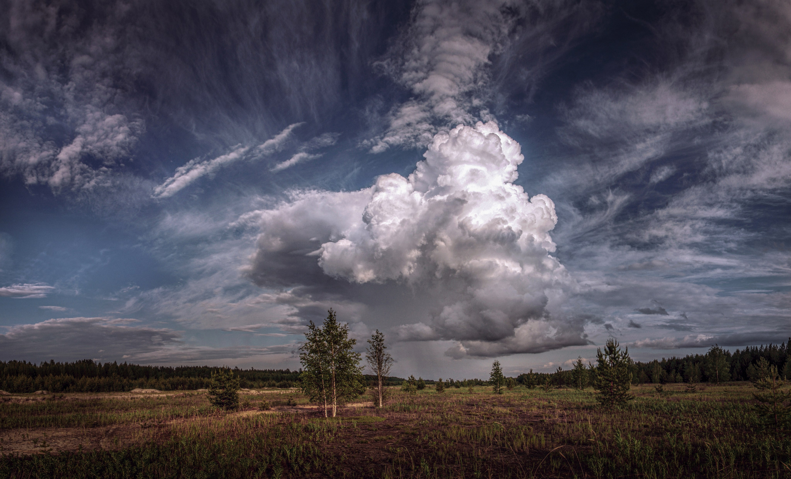 ПЕЙЗАЖИ. Фотограф Татьяна Борисова