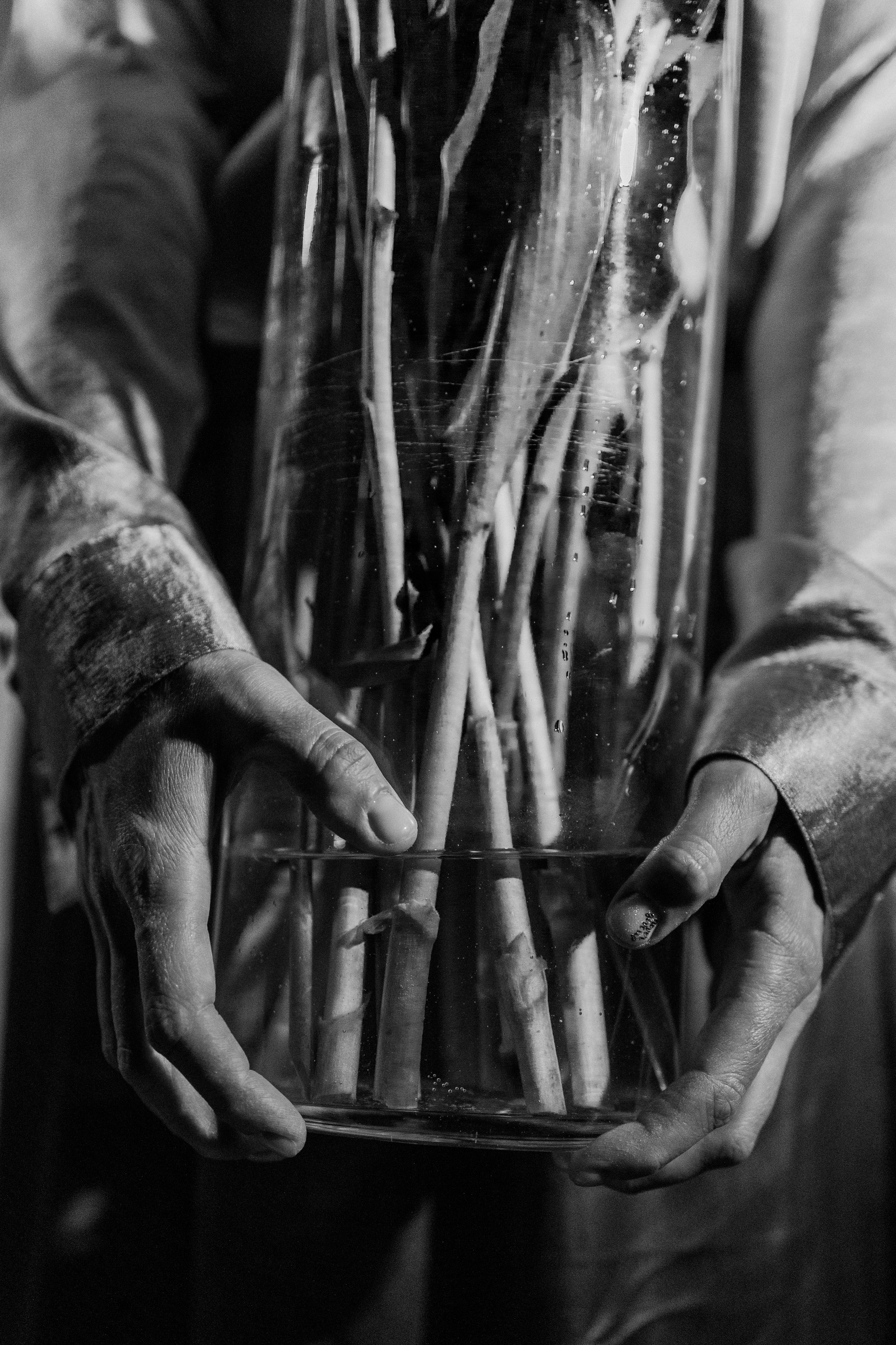 Эстетика П р о Я в л е н и я. Виноградова Маргарита. Фотограф P r o Явления