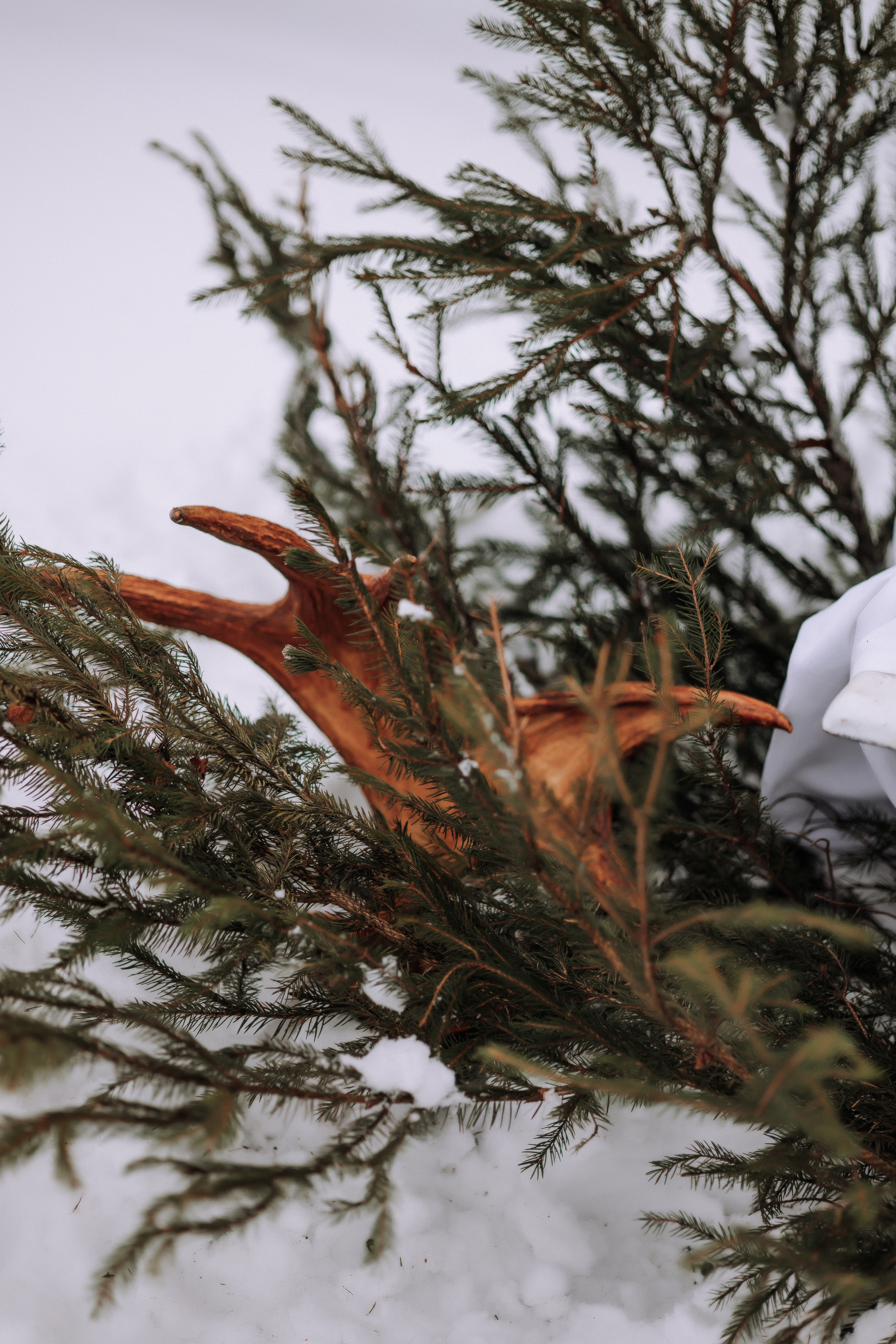 Любовь и Лед. Свадебный фотограф Минск РБ