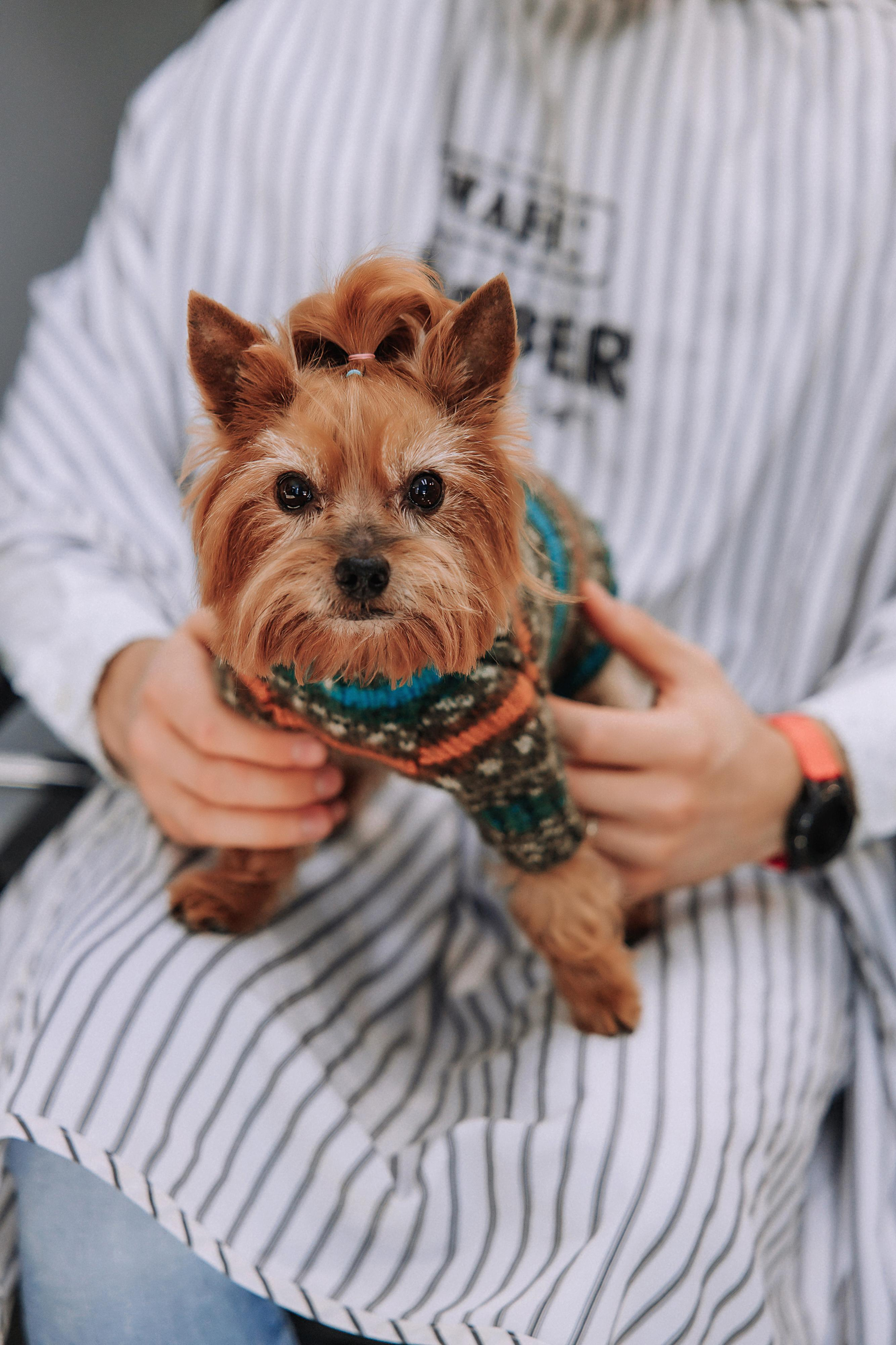 Георгий и Яна. Свадебный фотограф Минск РБ