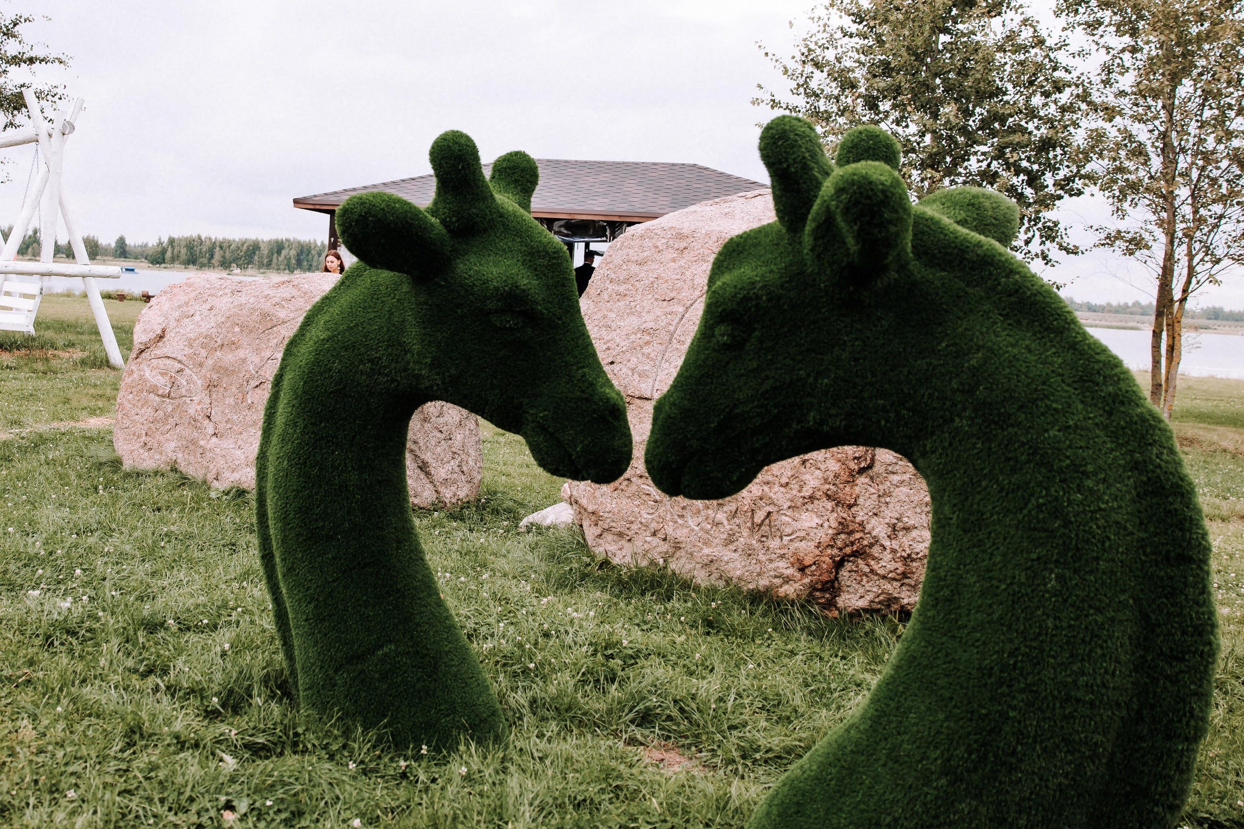 28.08.21 Алексей и Олеся. Свадебный фотограф Минск РБ