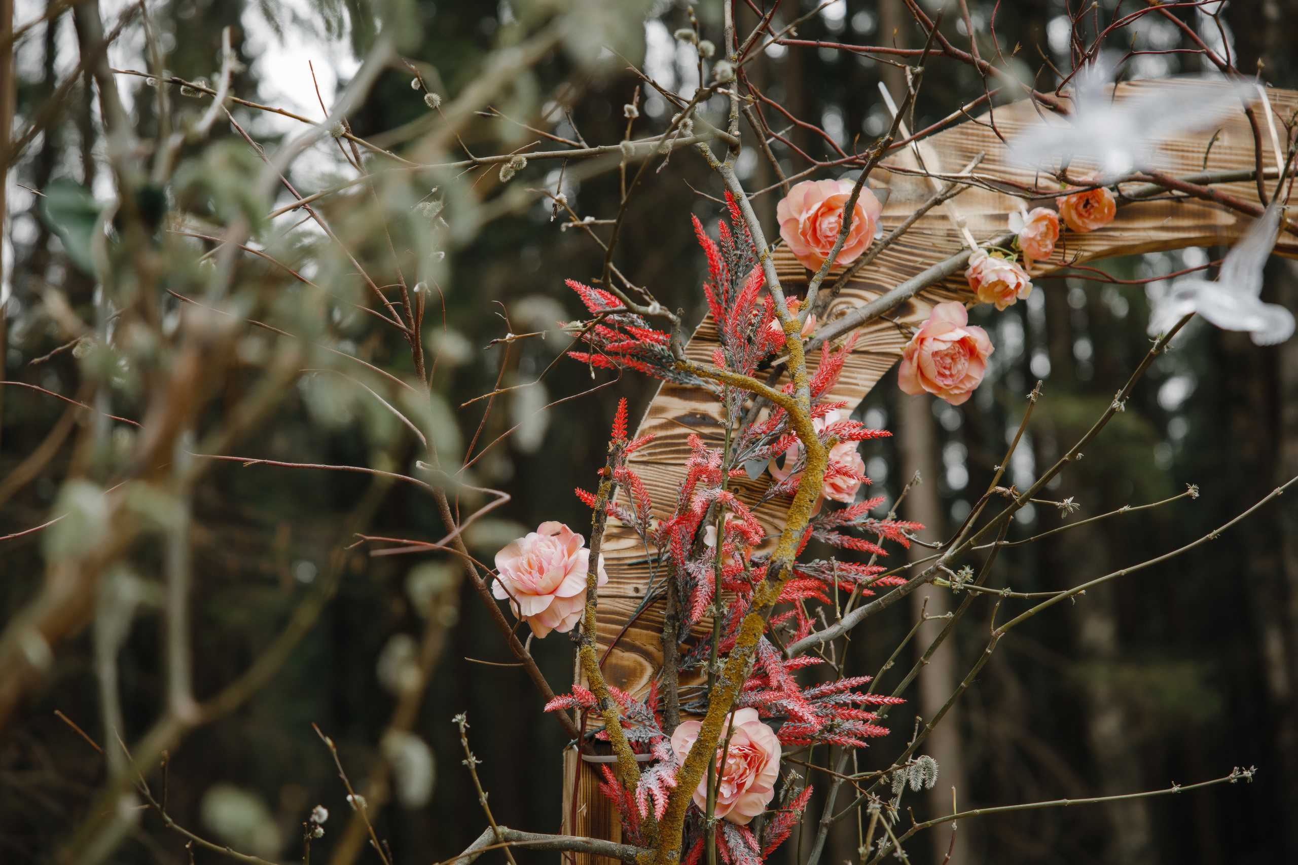 Яна и Саша. Свадебный фотограф Минск РБ