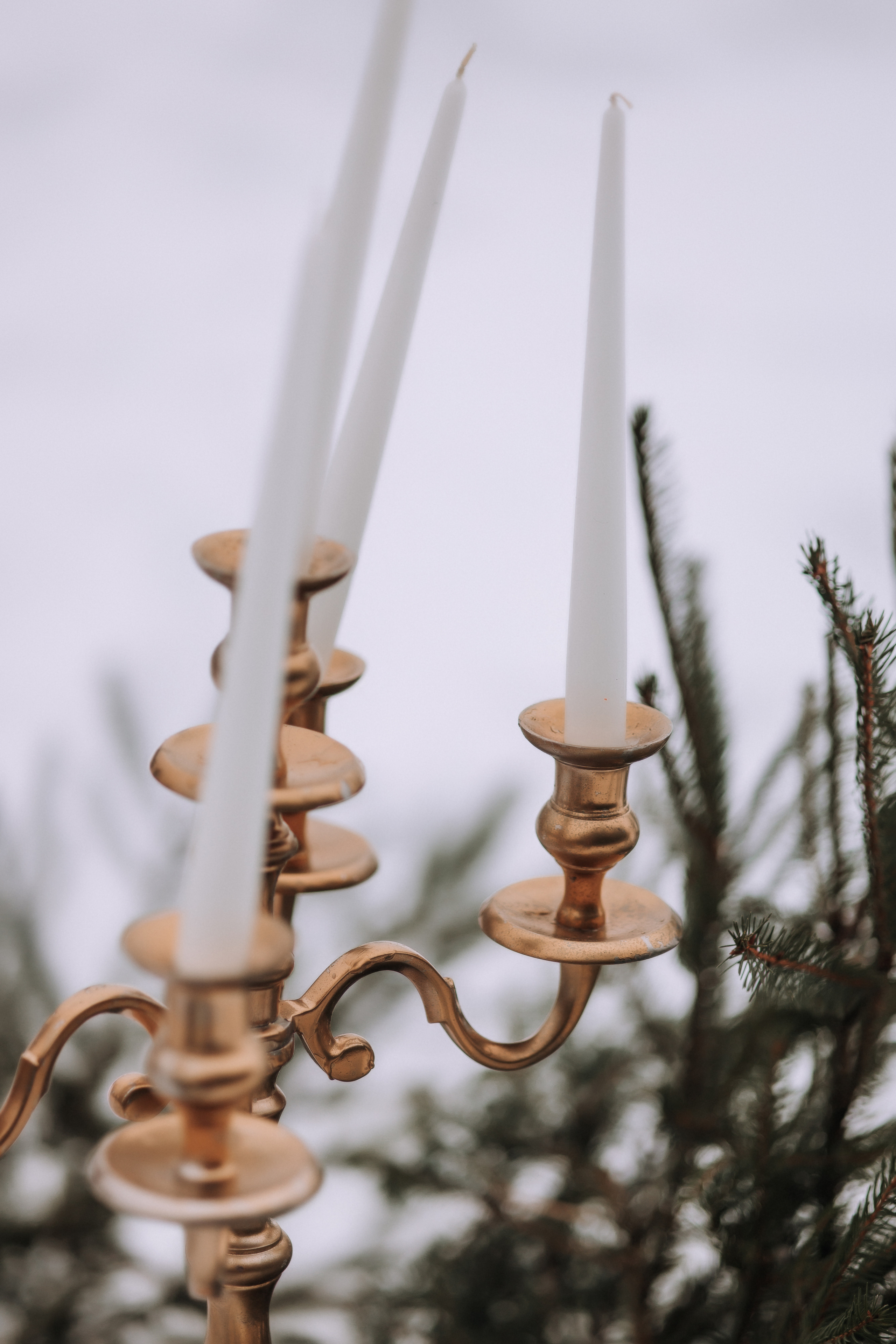 Любовь и Лед. Свадебный фотограф Минск РБ