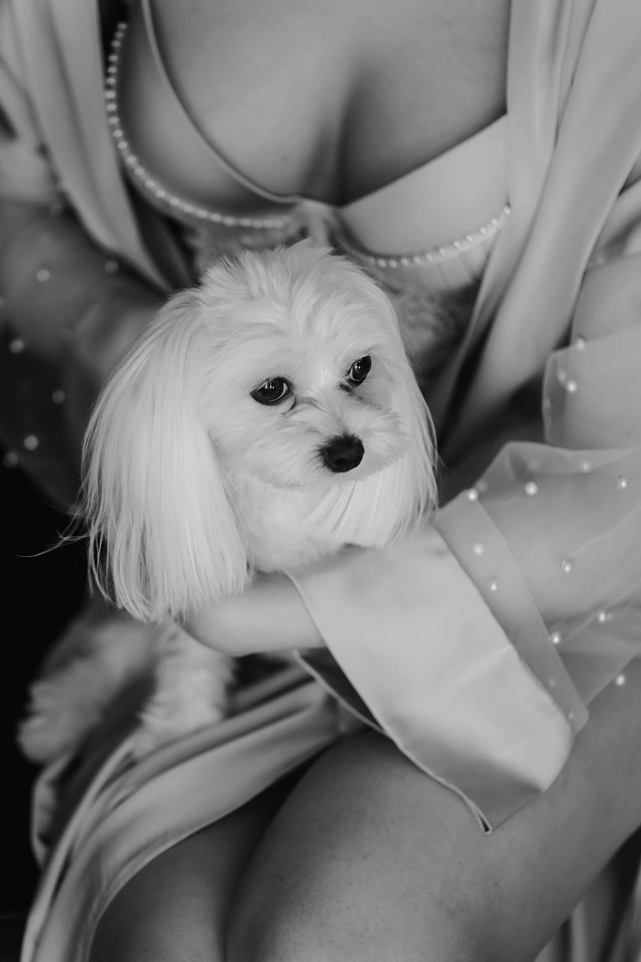 Георгий и Яна. Свадебный фотограф Минск РБ