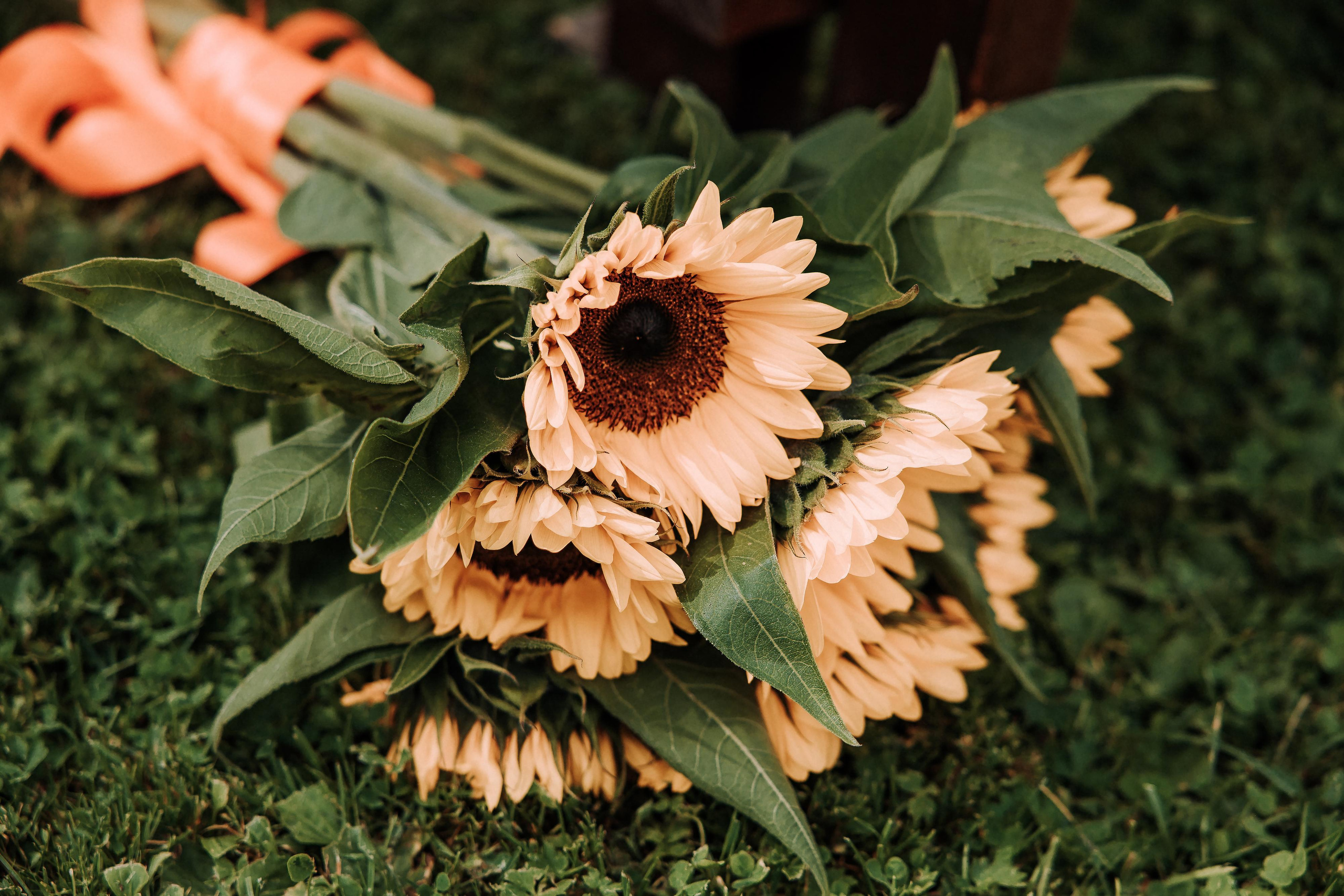 Иван и Екатерина. Свадебный фотограф Минск РБ