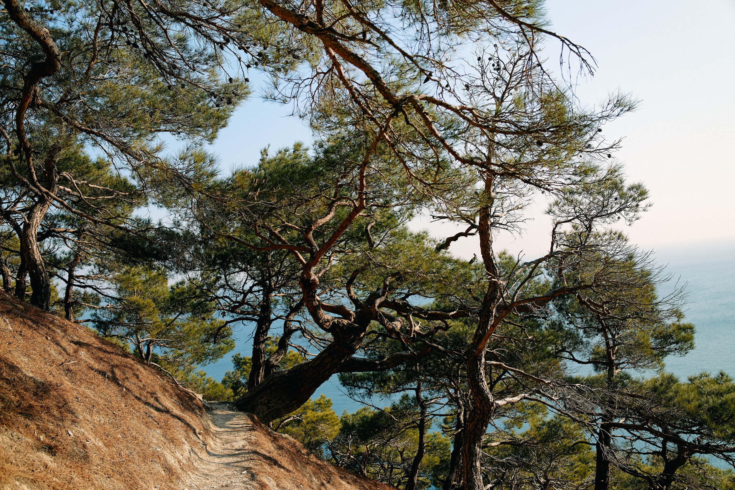 Юг России. Профессиональный Фотограф во Владимире, в Москве и в Суздале — Полина Романычева