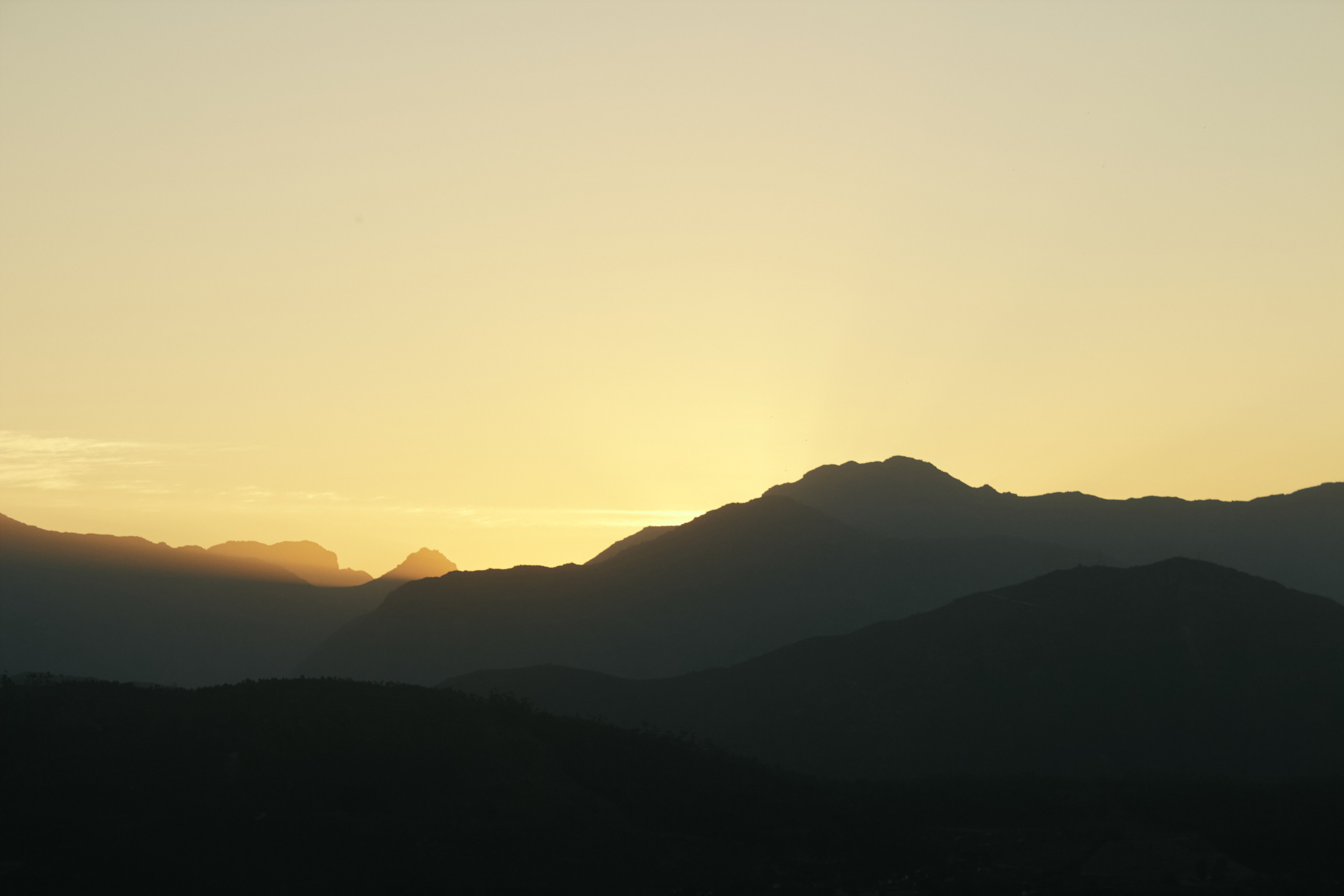 ЮАР. Профессиональный Фотограф во Владимире, в Москве и в Суздале — Полина Романычева