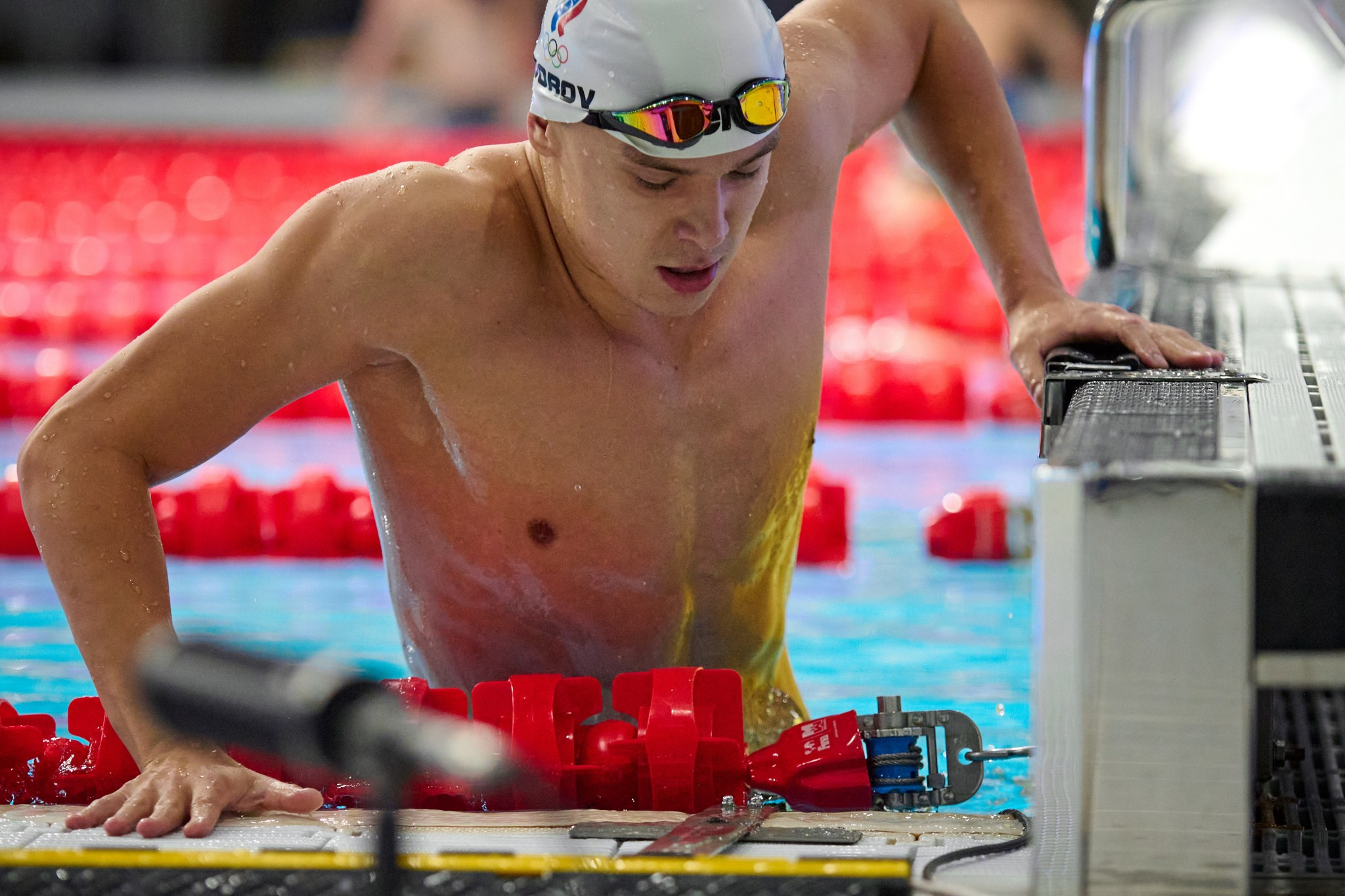 Кубок России по плаванию 2024 г. Екатеринбург. Мезенцев Евгений фотограф