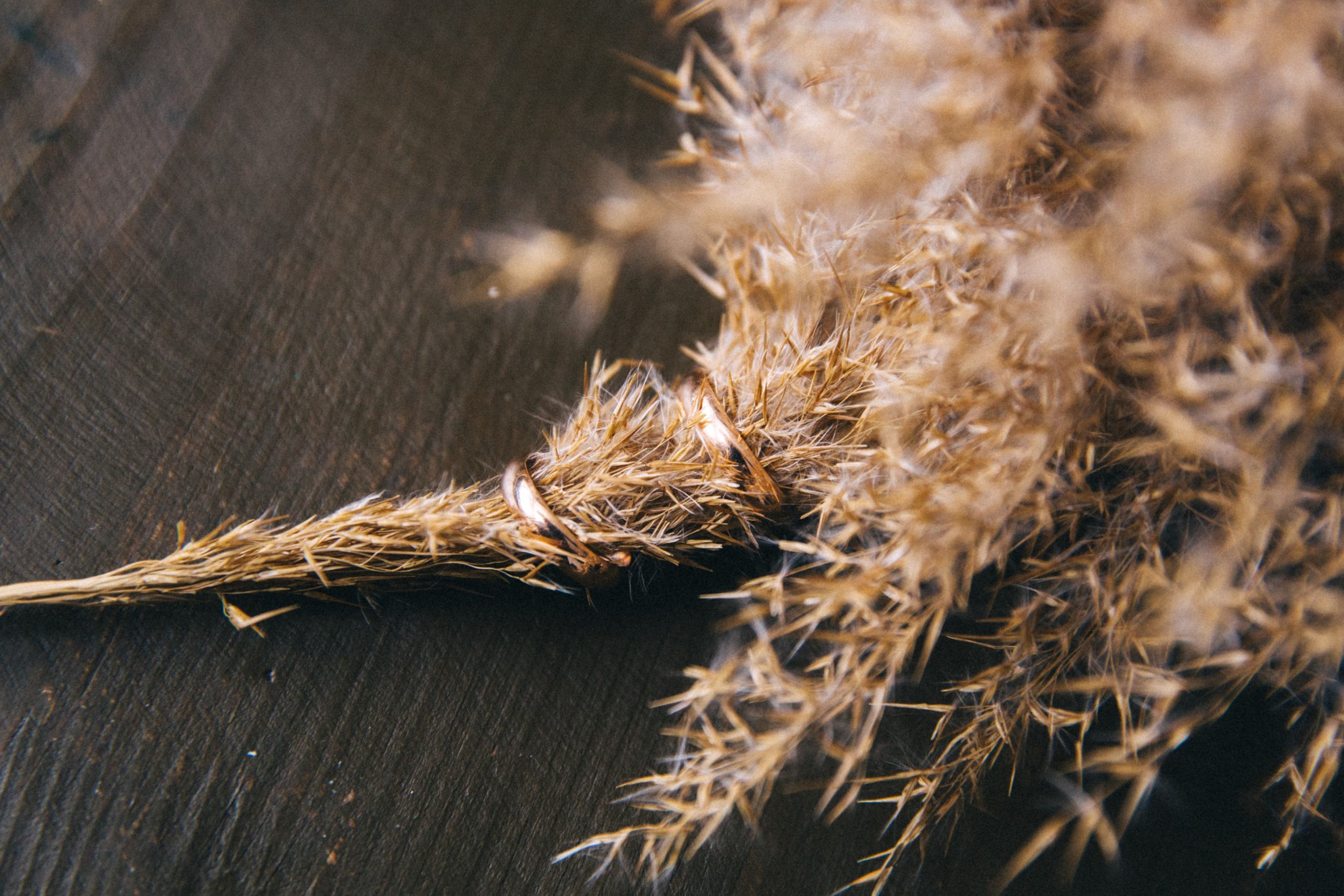 Свадьба Дениса и Маргоши. Семейные и детские съемки в Уфе