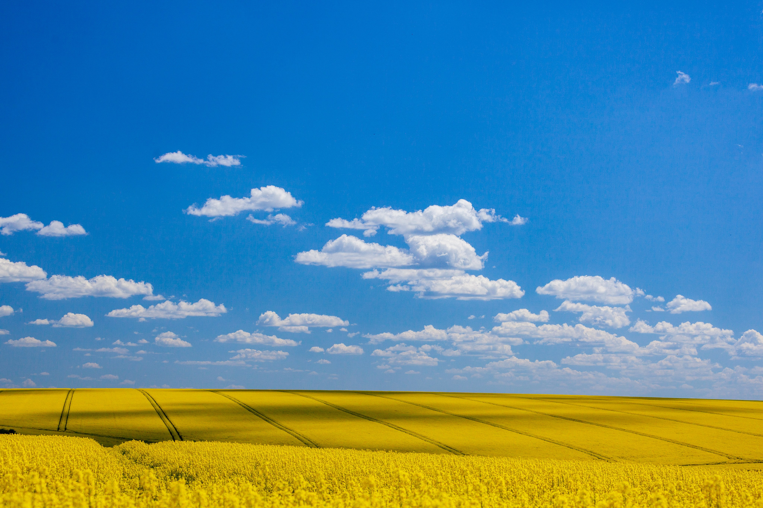 Природа. Фотохудожник Артём Парамонов