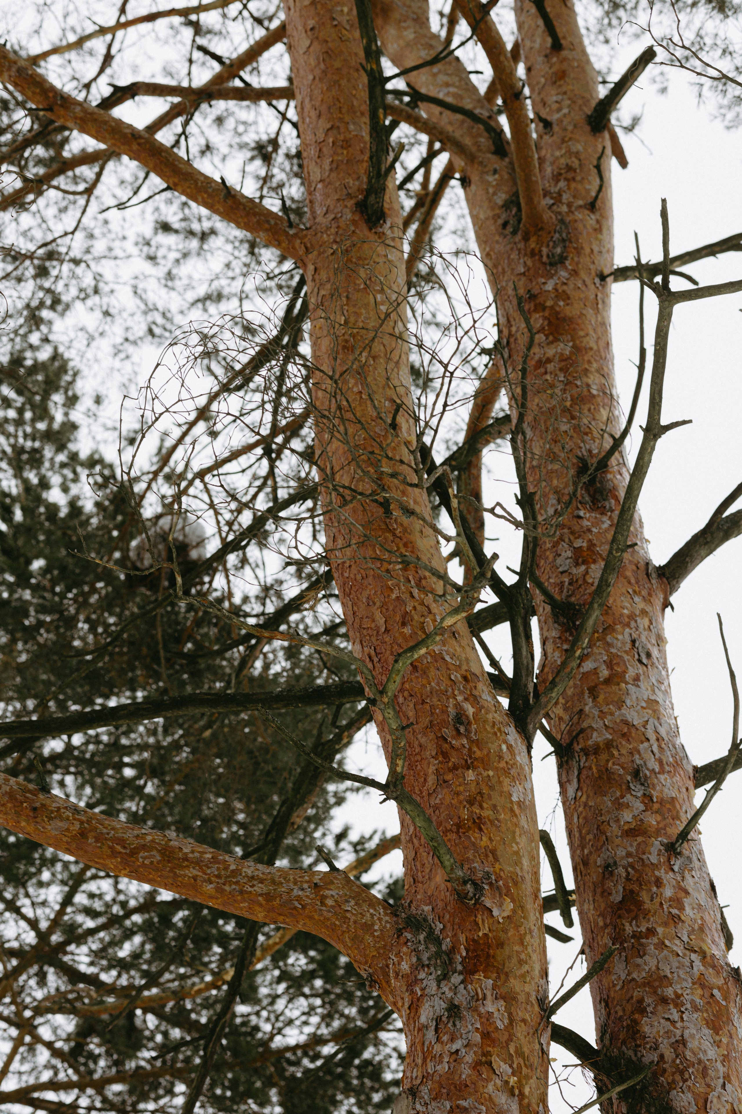 Изготовление куклы к Масленице. Про любовь