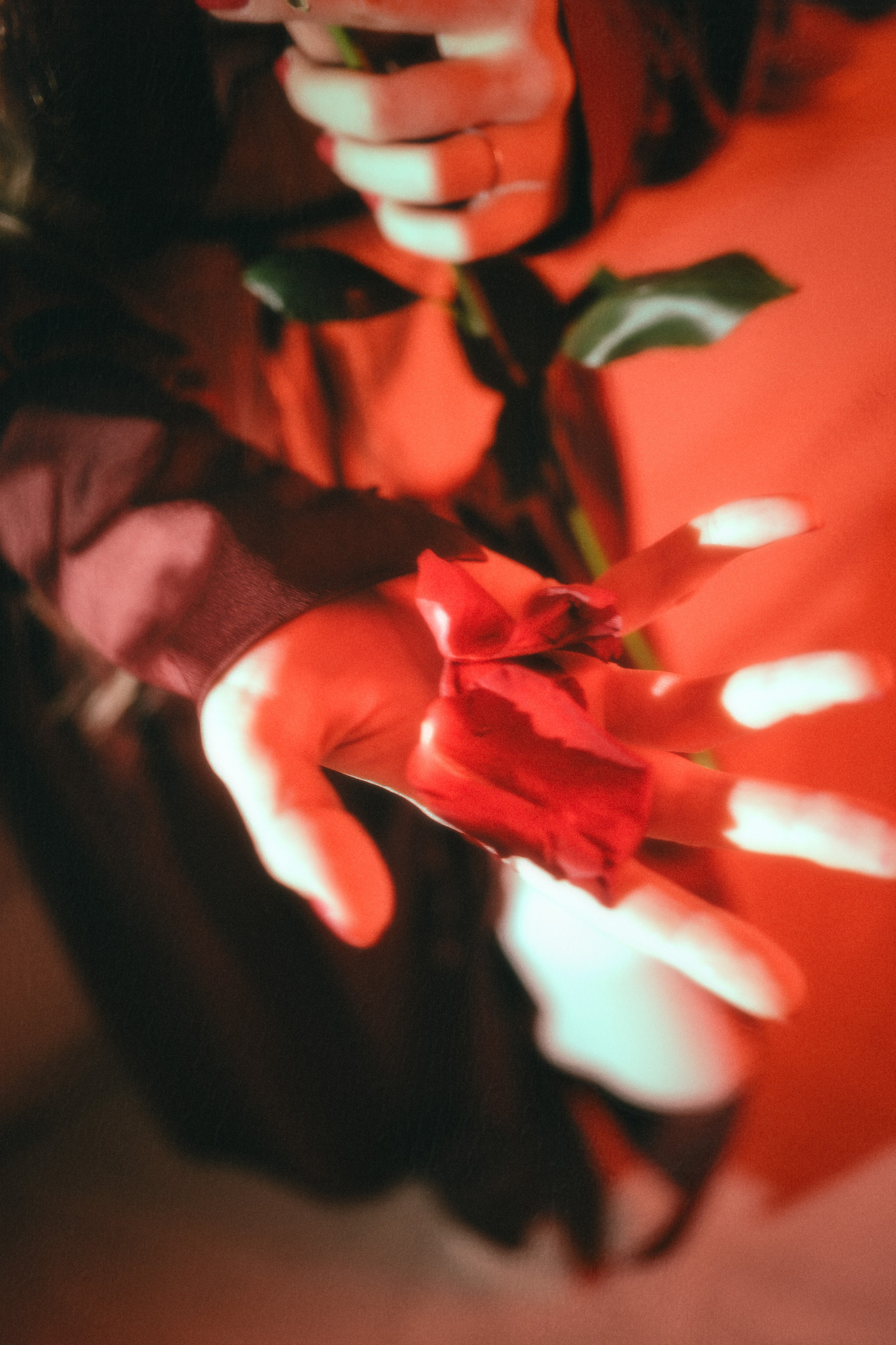 Дарина — алкогольная съёмка. Фотограф в Москве Максим Скоробогатов