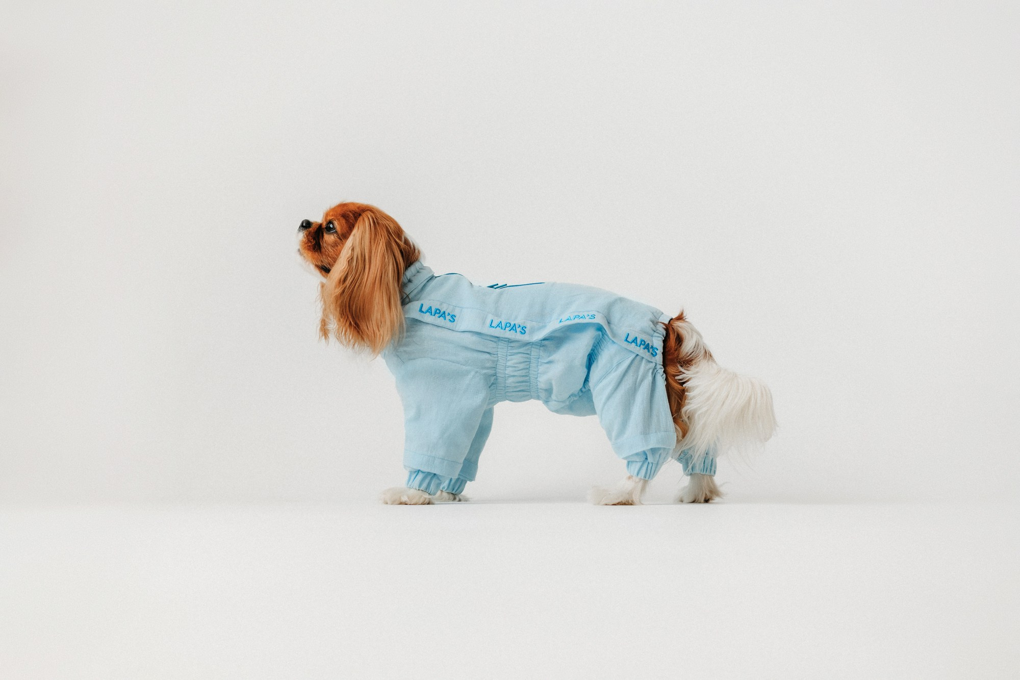 Одежда Lapa`s brand. Фотограф-анималист Елена Радченко, Москва