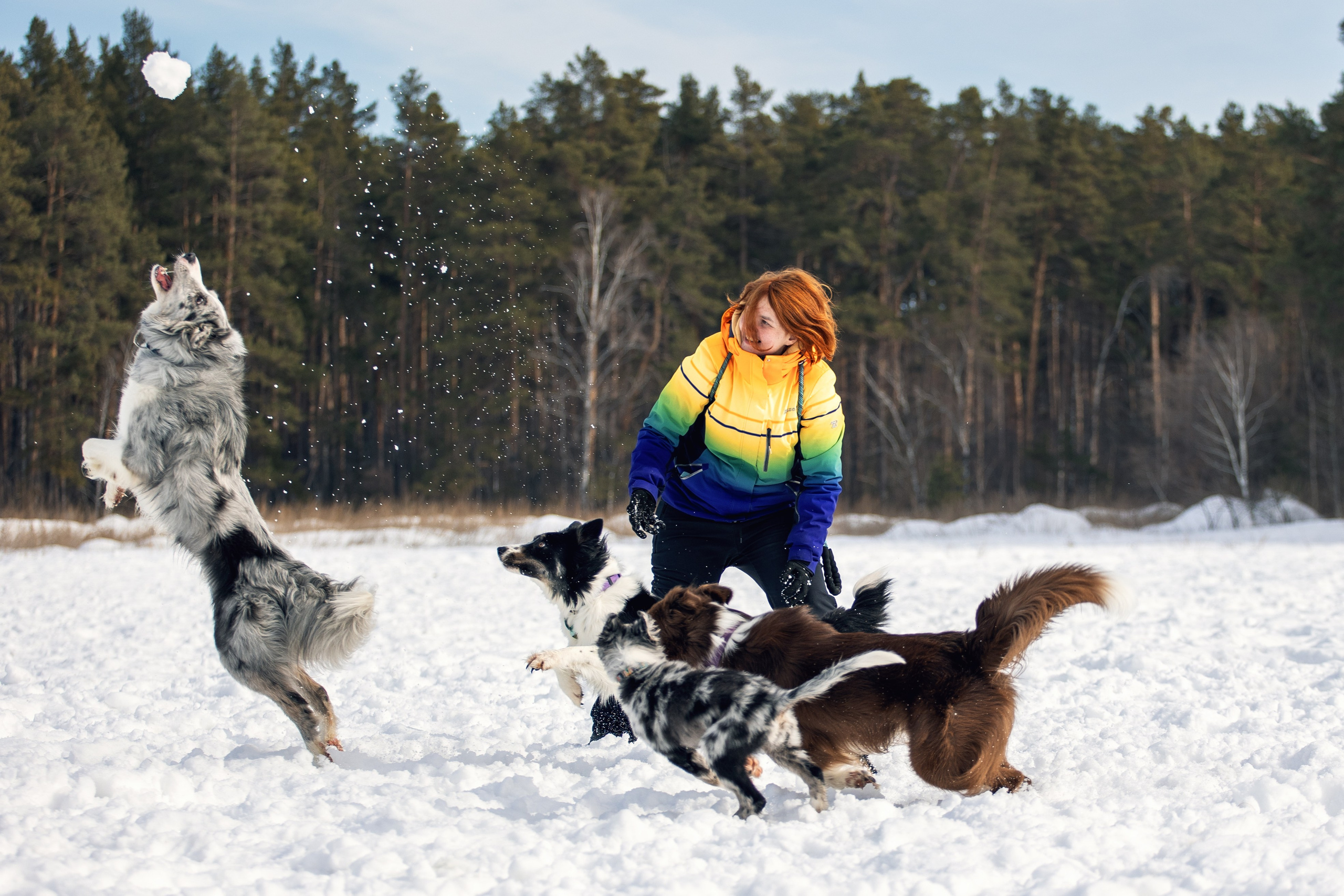 В погоне за снежком…. YULA KOLESOVA | Фотограф — Анималист | Художник | Тюмень