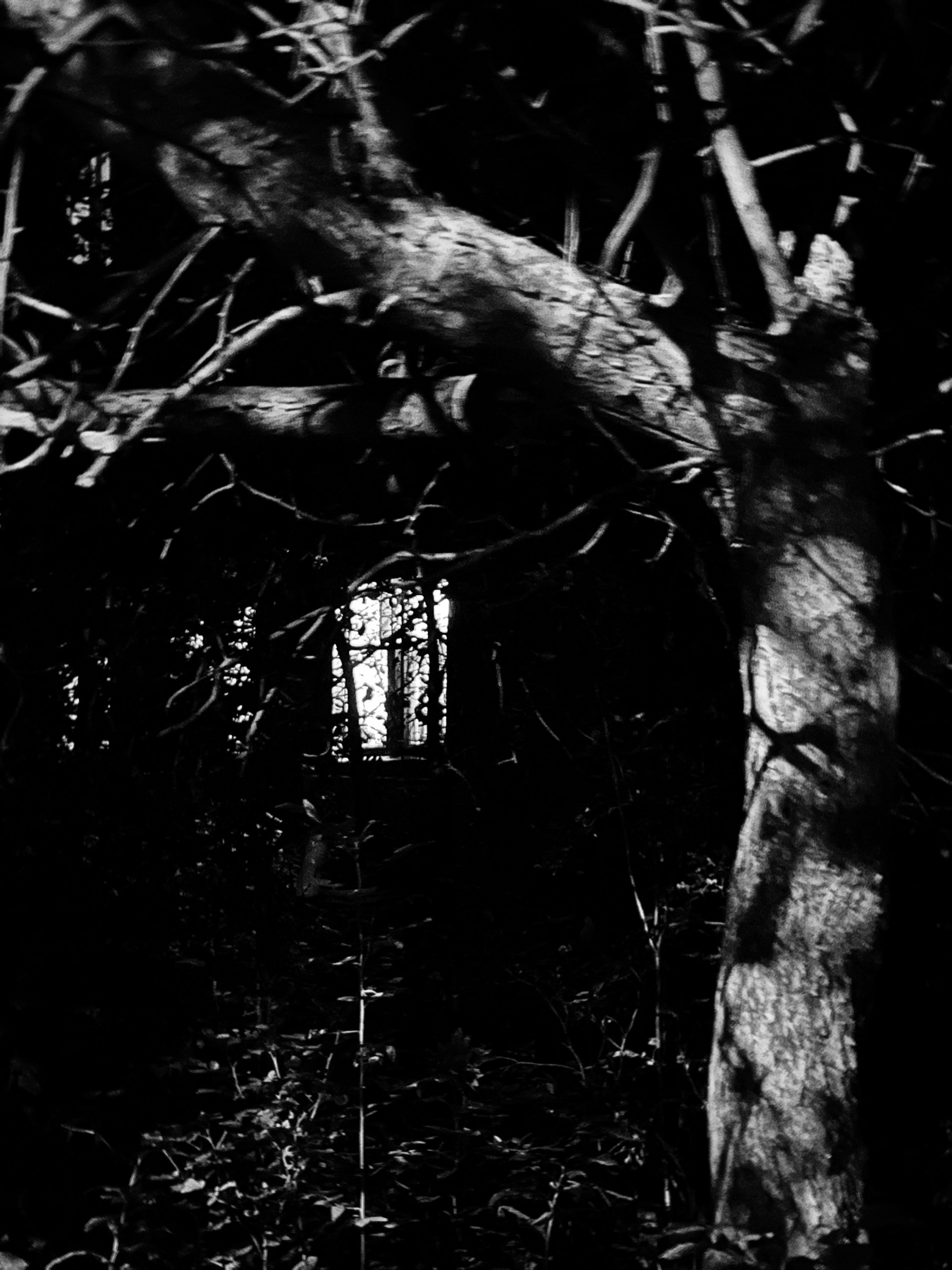 Окно. Shatohina.com