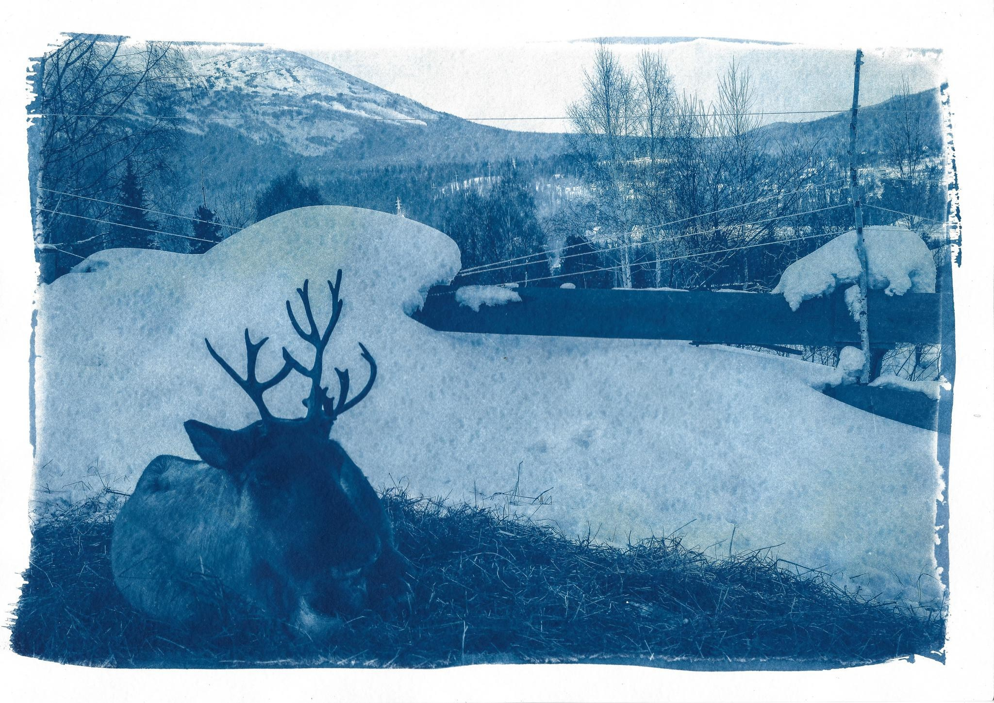 Дом снега. Shatohina.com