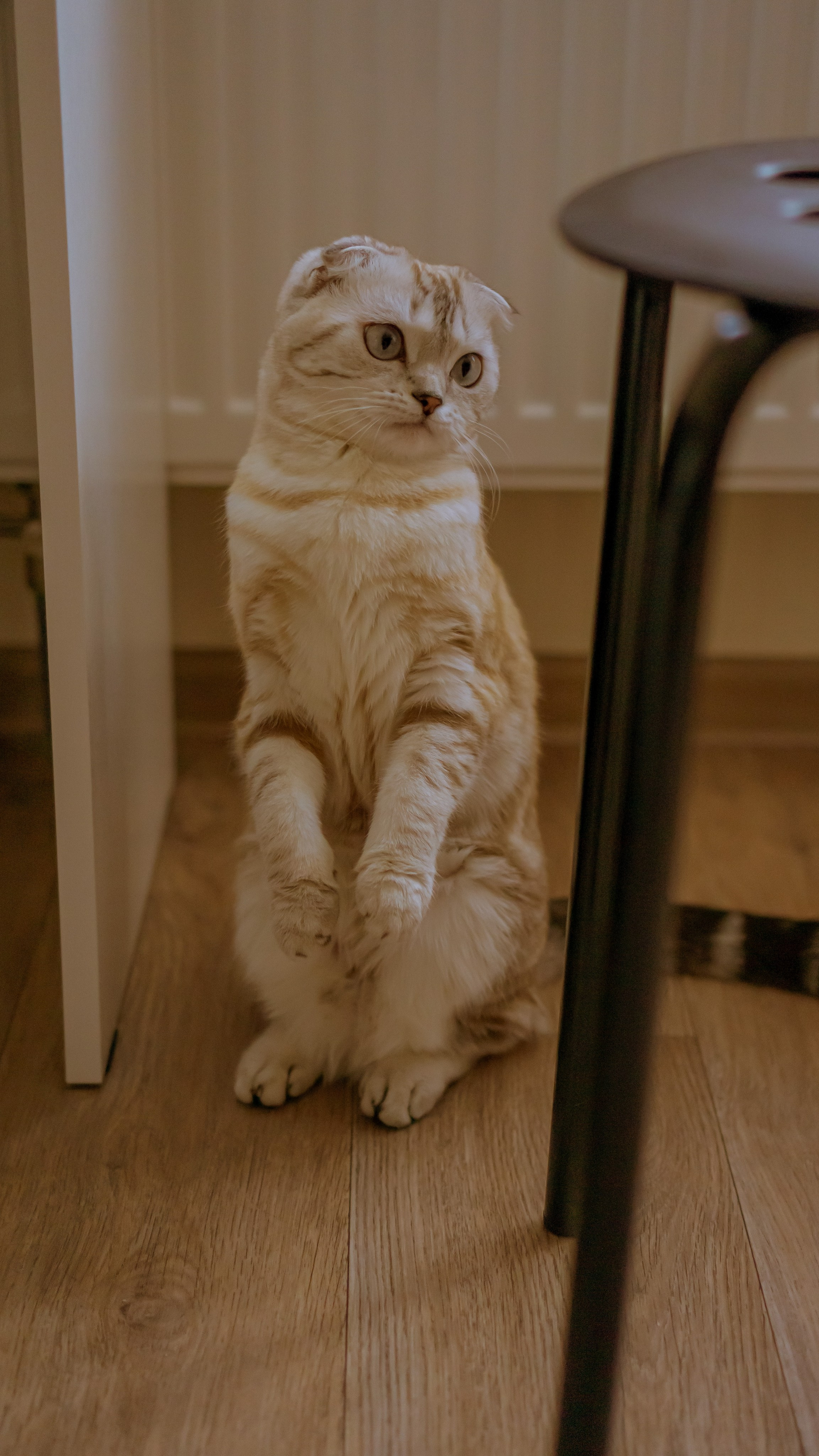 Ария. Фотограф в Кстово и Нижнем Новгороде KOLOSOK