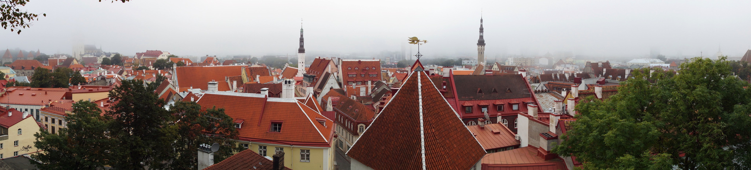 Таллин. Фотограф-путешественник Самойлов Максим «Sly Fox»