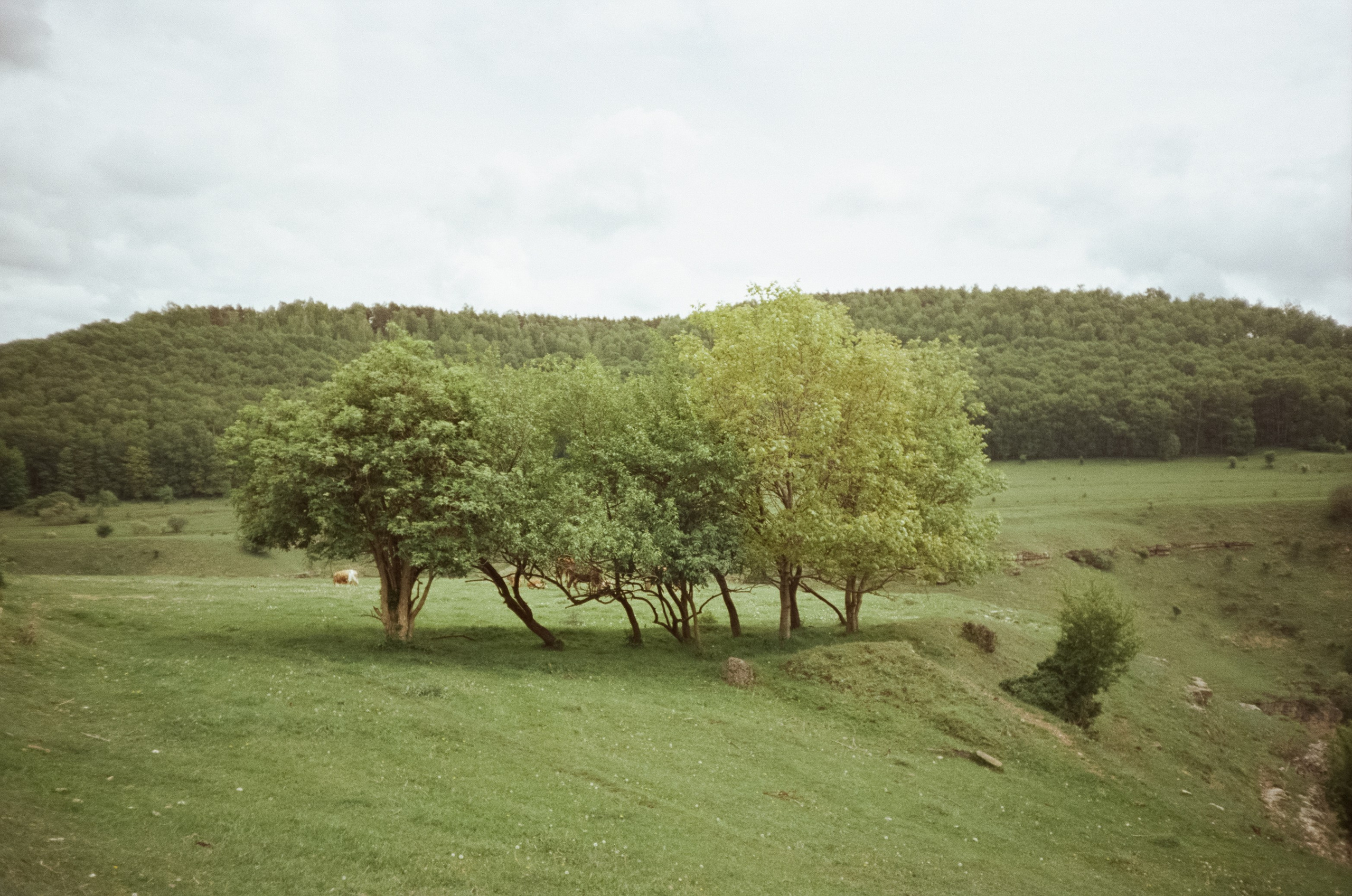 Из дождливого утра в солнечный день. Из Кисловодска в Железноводск. Фотограф-документалист Мария Осокина