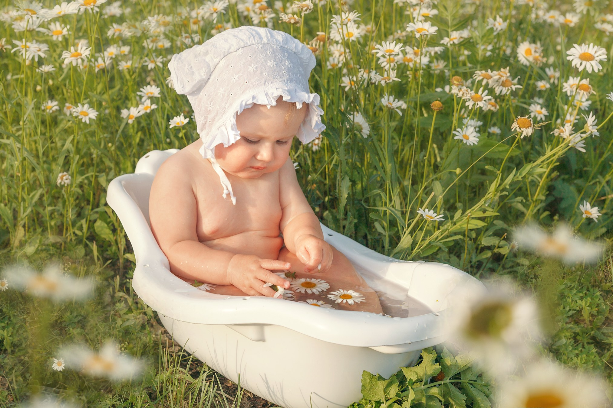 Ромашки. Детский и семейный фотограф в Бердске и Новосибирске Дарья Гребнева