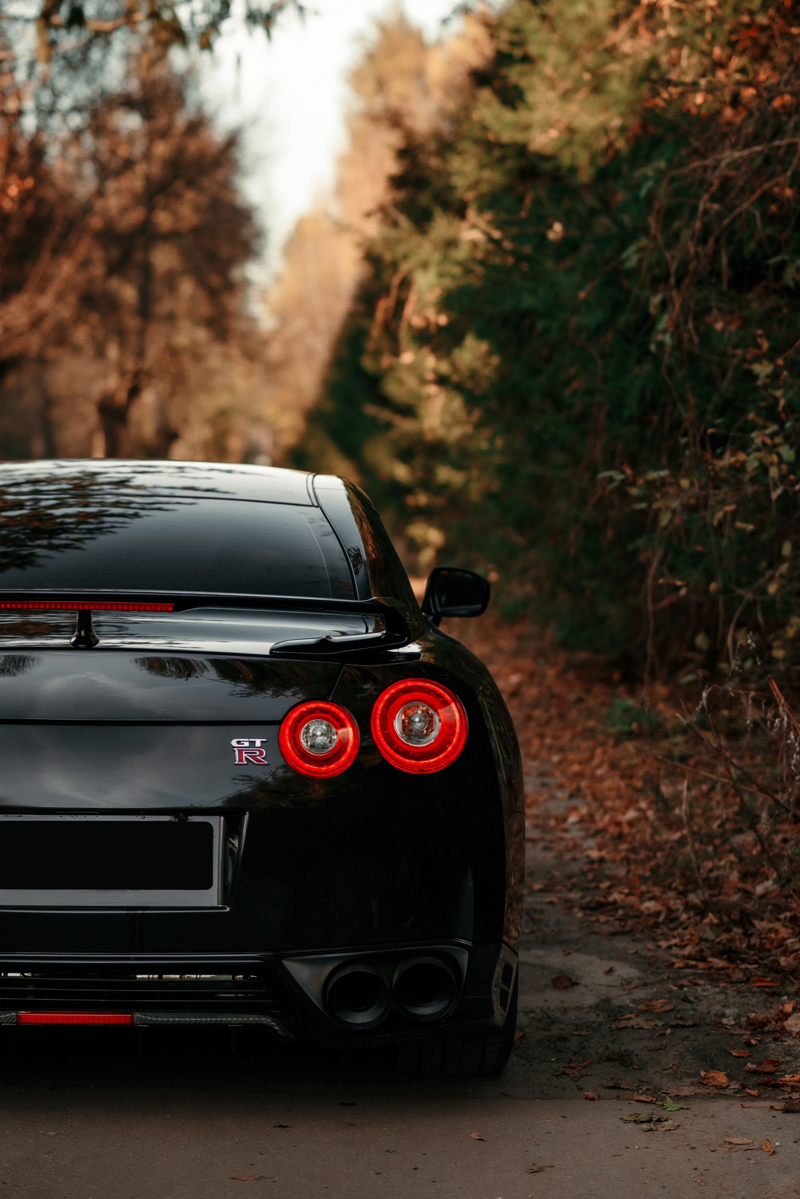 Nissan GT-R35 autumn vibe. DeLorein