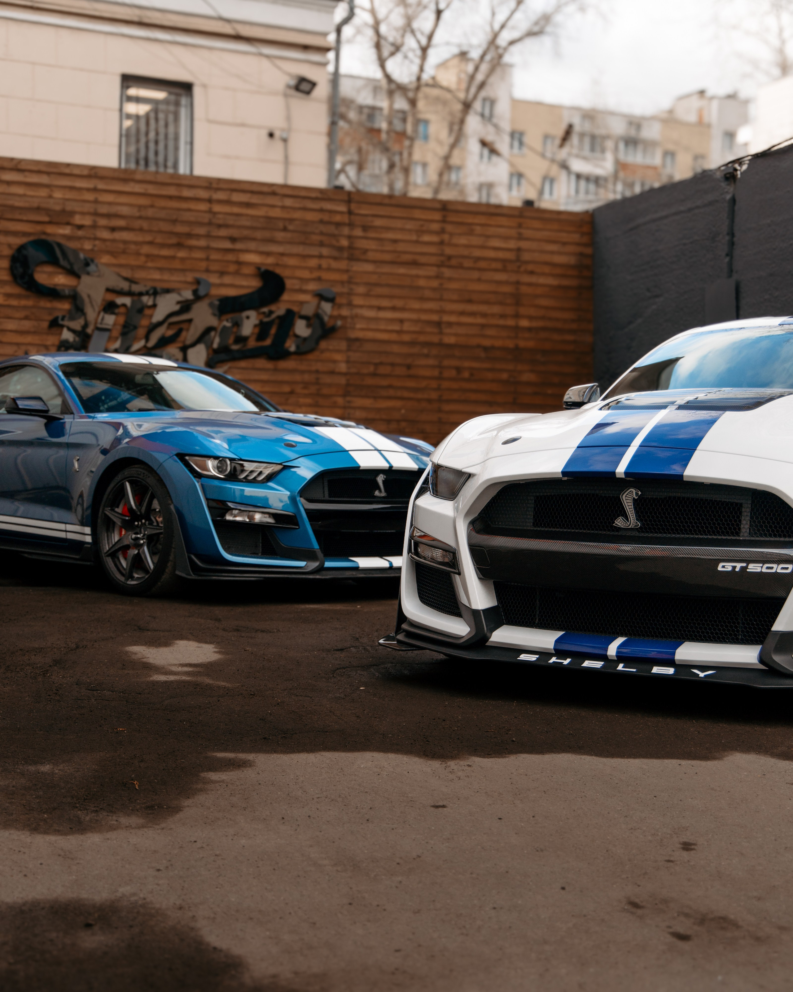 Mustang Shelby GT500 X2. DeLorein