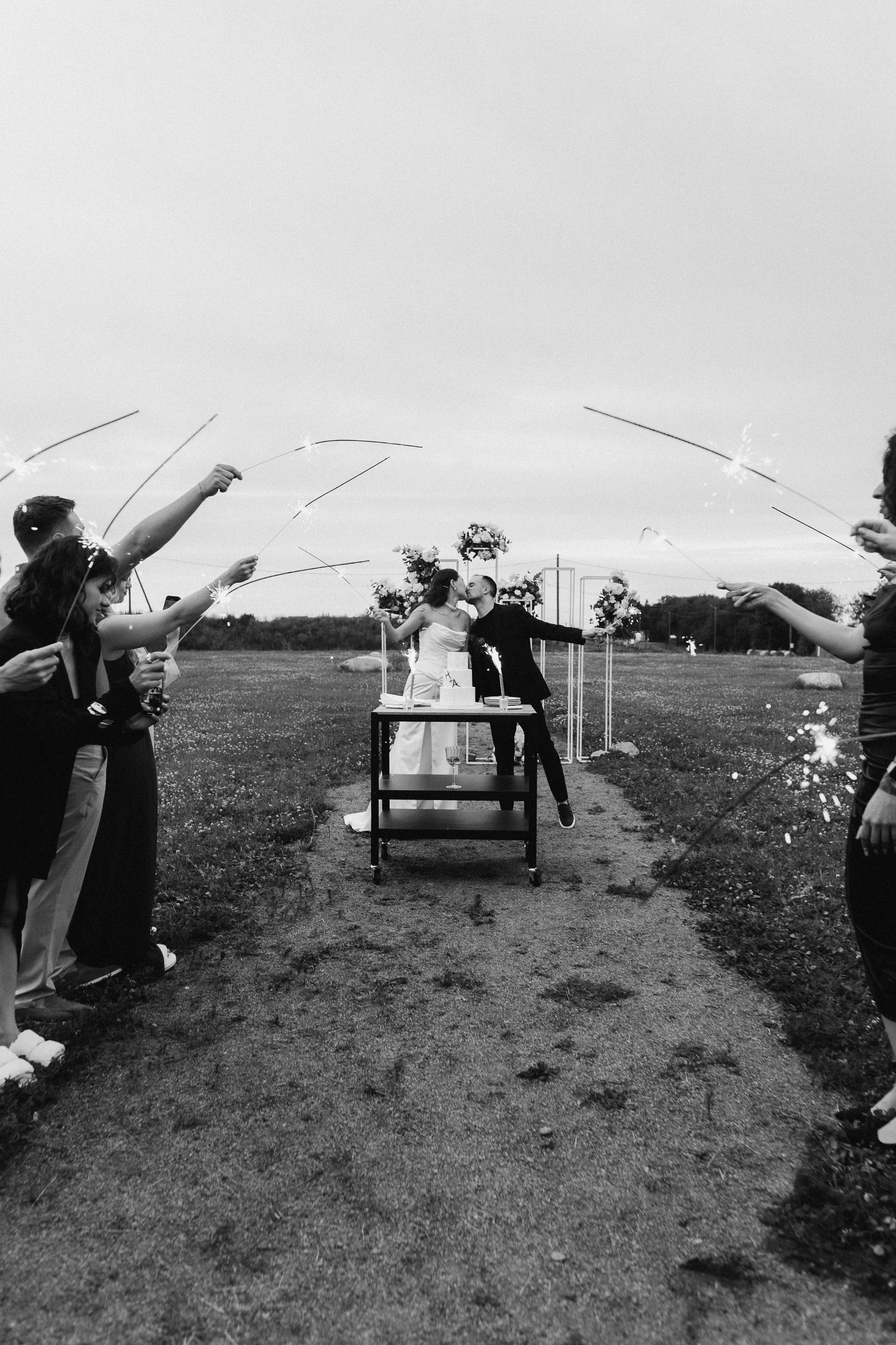 Выездная регистрация+банкет. Фотограф ПИТЕР СПБ Надежда Баранова