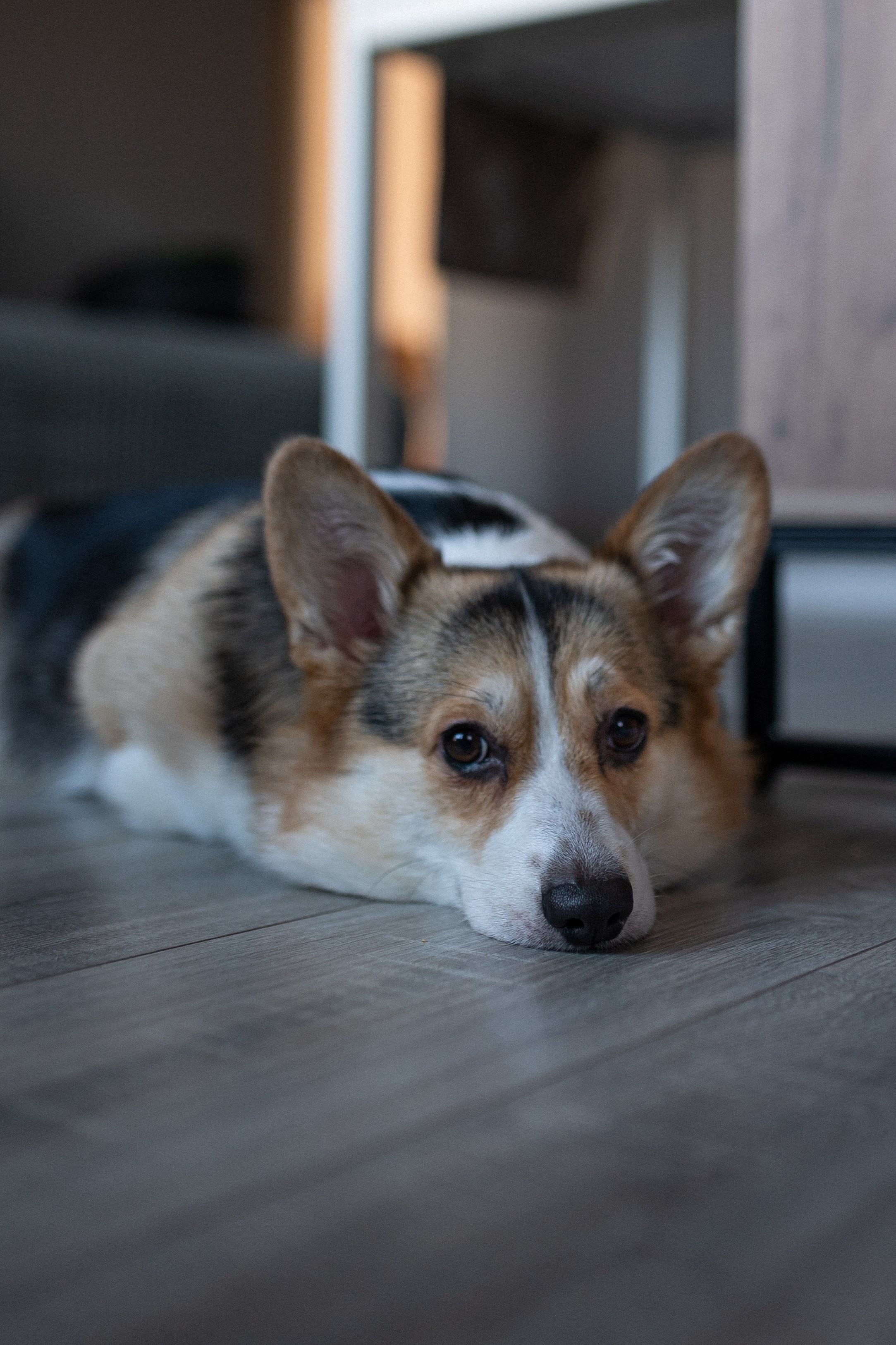 Ирина, Саша, Ваня, Оливия. Www.ostermiller.ru