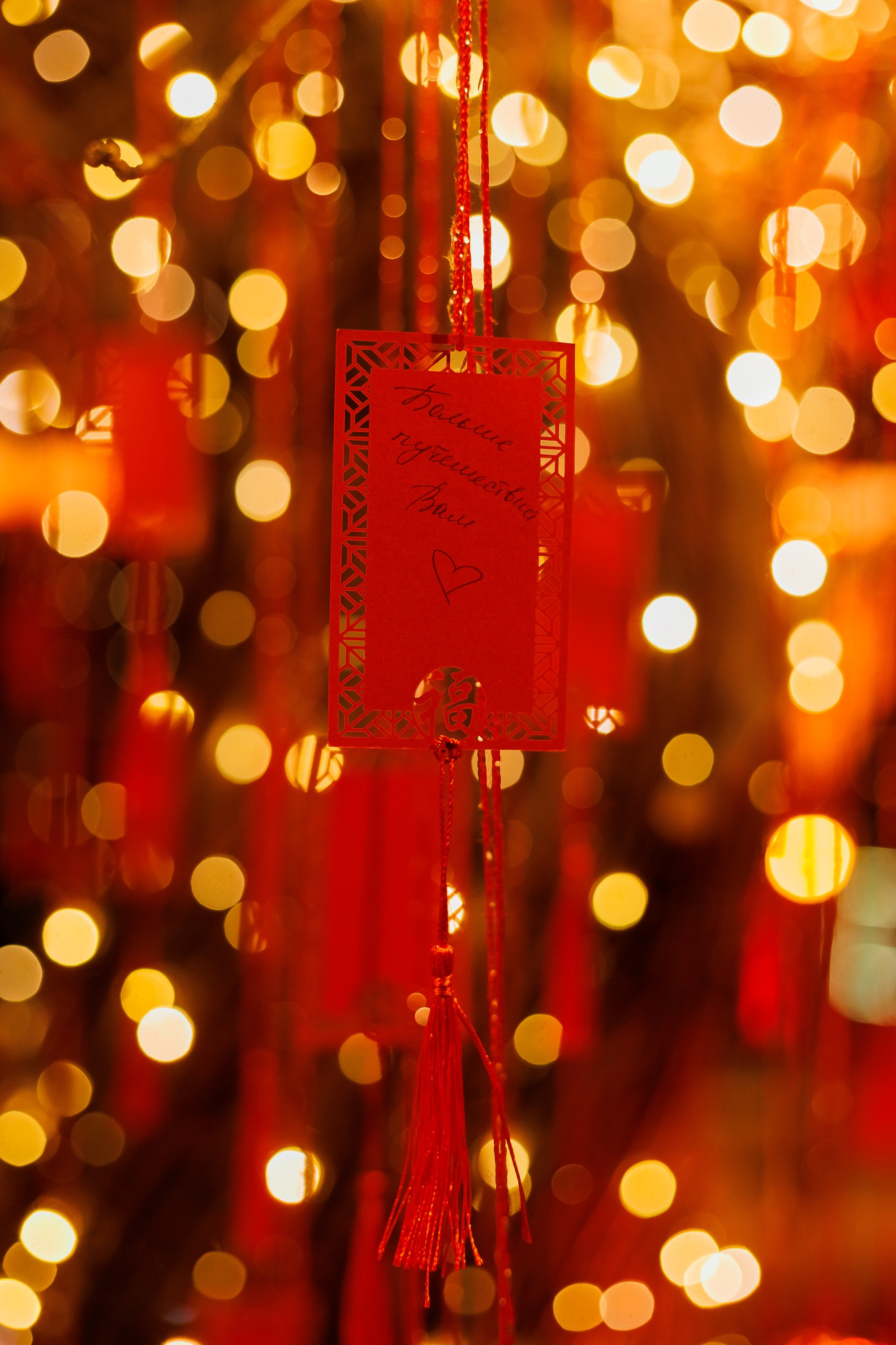 ЭХО новый год 2025. Фотограф из Хабаровска Юлия Черёмушкина