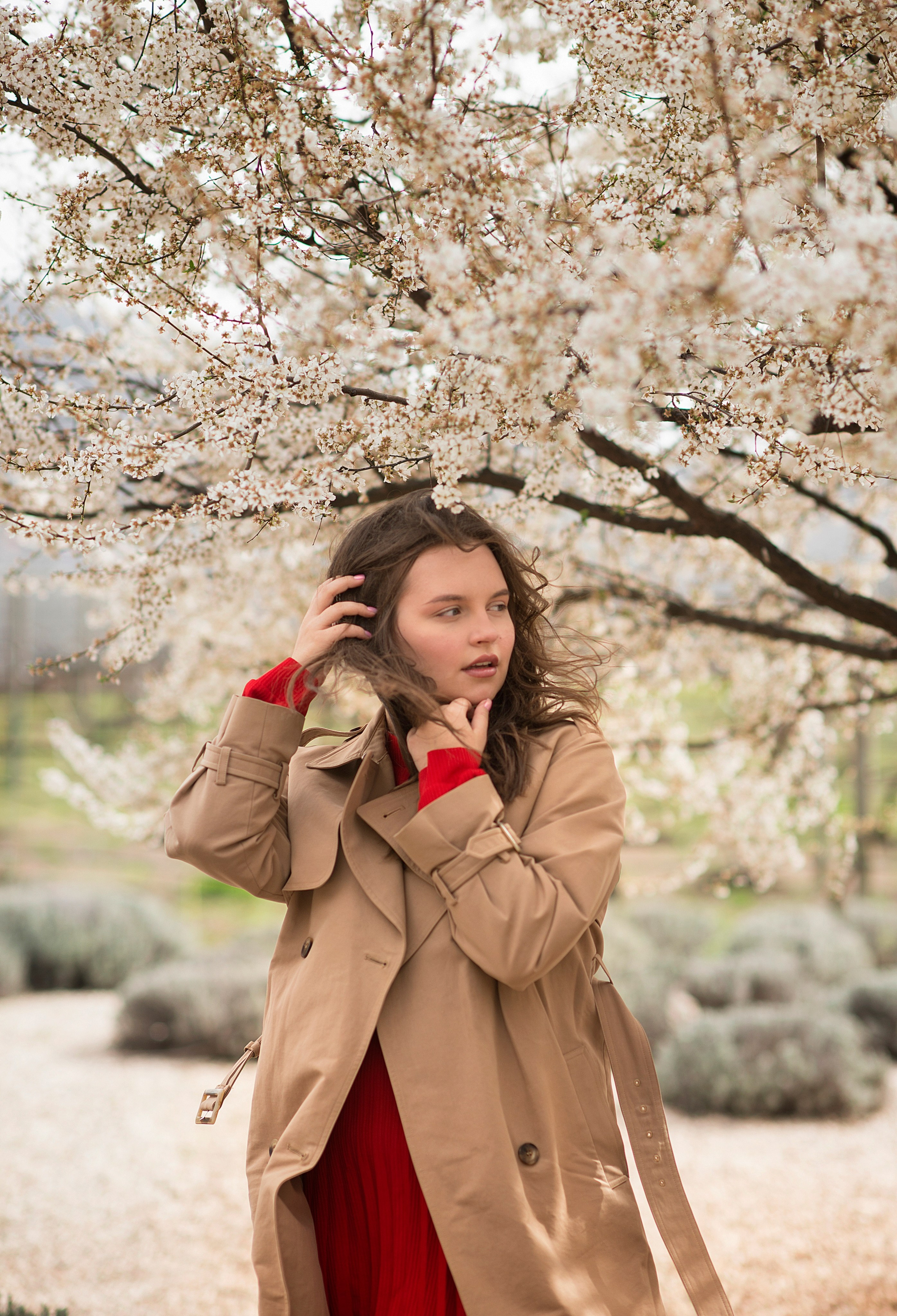 В цветущем миндале. Семейный и детский фотограф в Севастополе. Семейный фотограф в Ялте