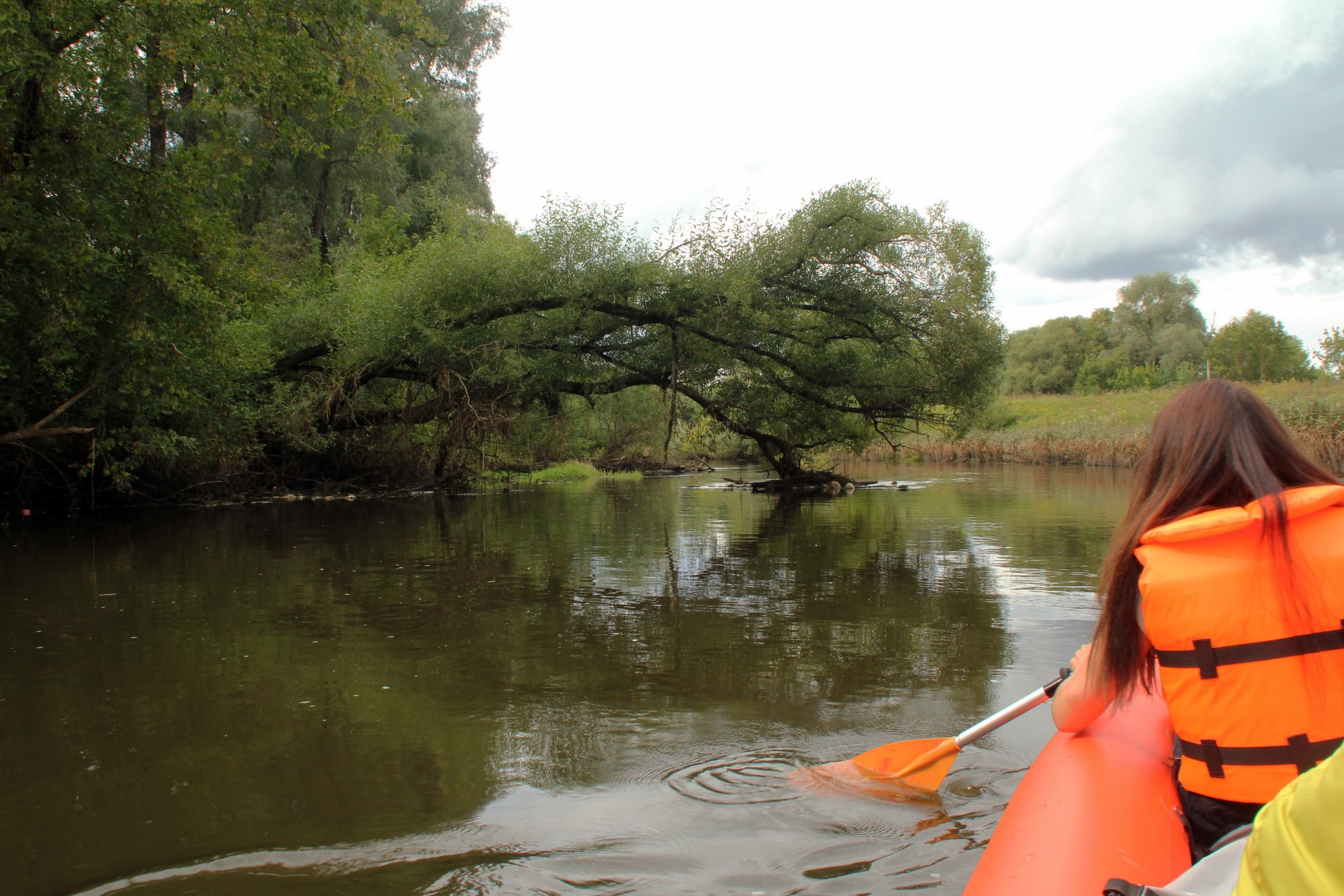 Байдарки | 24.08.2025. Галерея Фантим