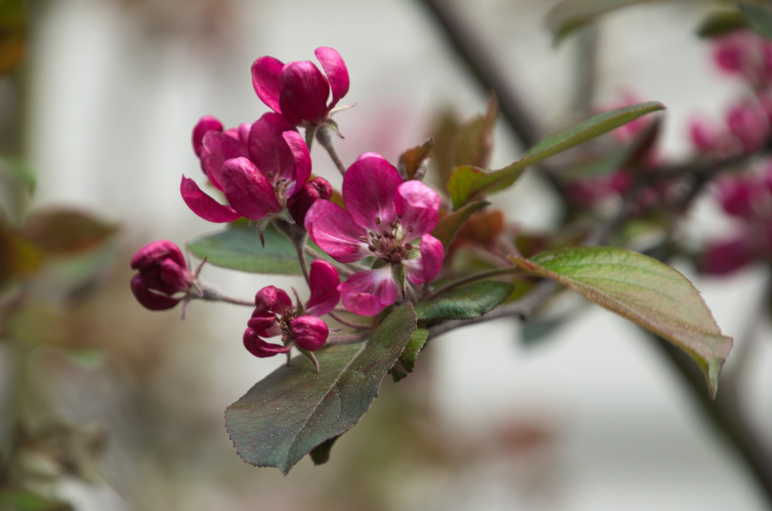 Чехия | 06-09.05.2017. Галерея Фантим