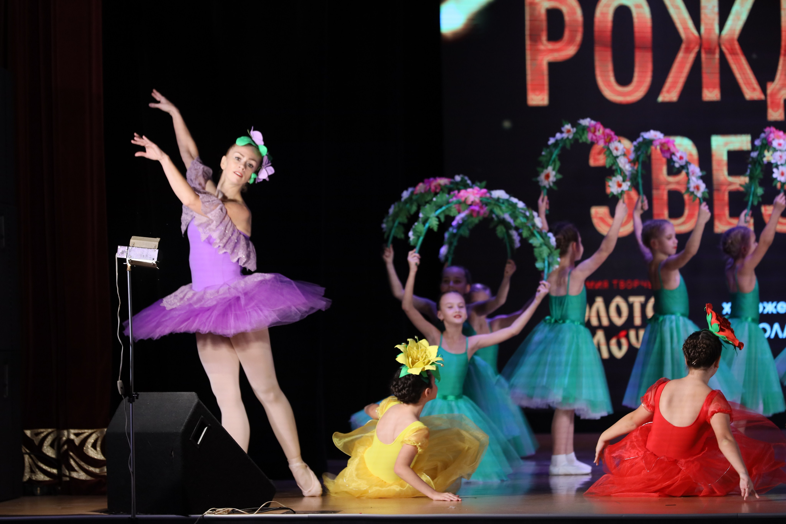 4 ноября, блок 1, видео, номера 14-29, г. Краснодар. Золотое яблочко