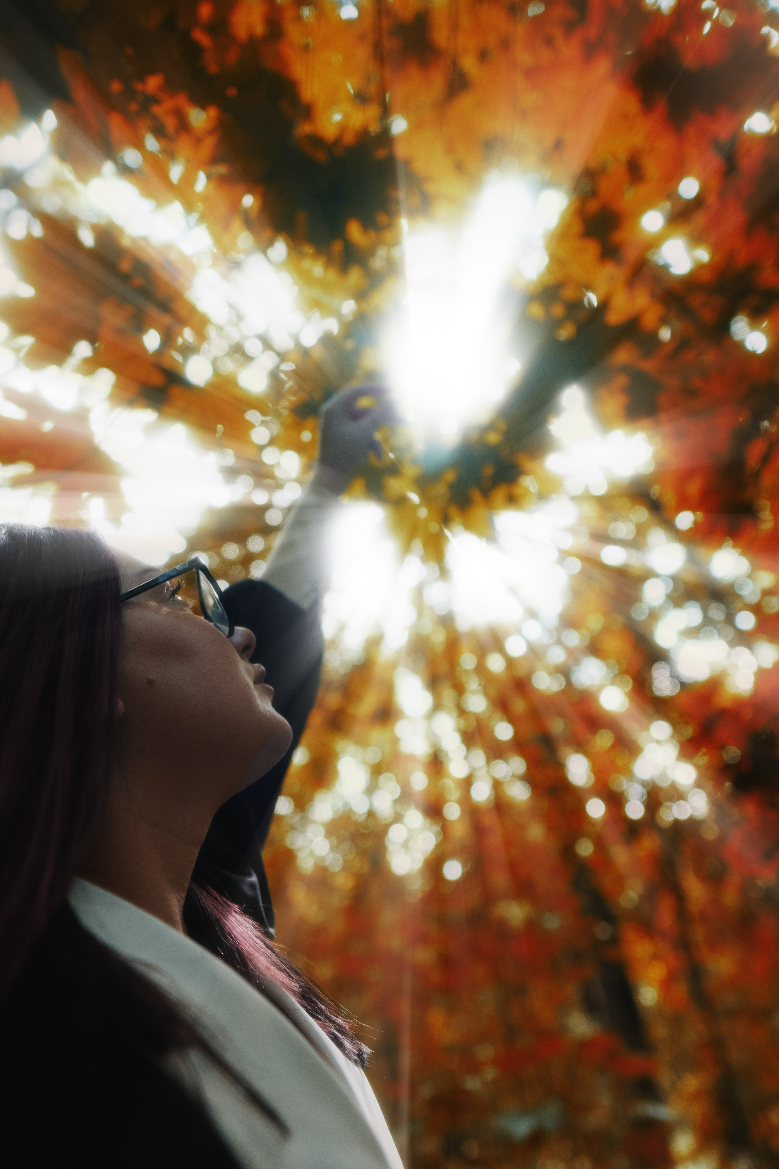 Ирина. Лес. Дмитрий Пропадалин, Нейрофотография