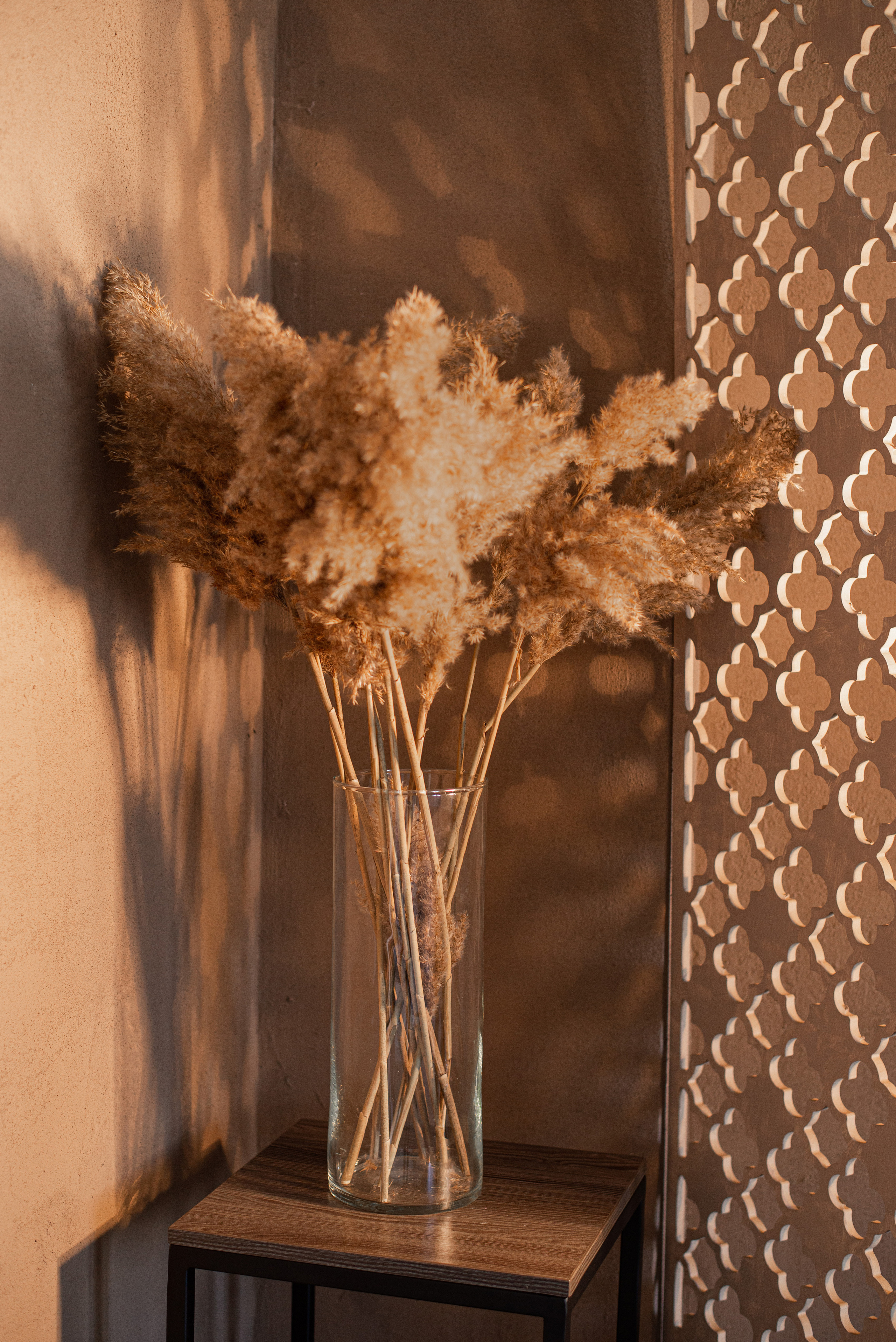 Главная. Фотостудия для маркетплейсов TM-lab