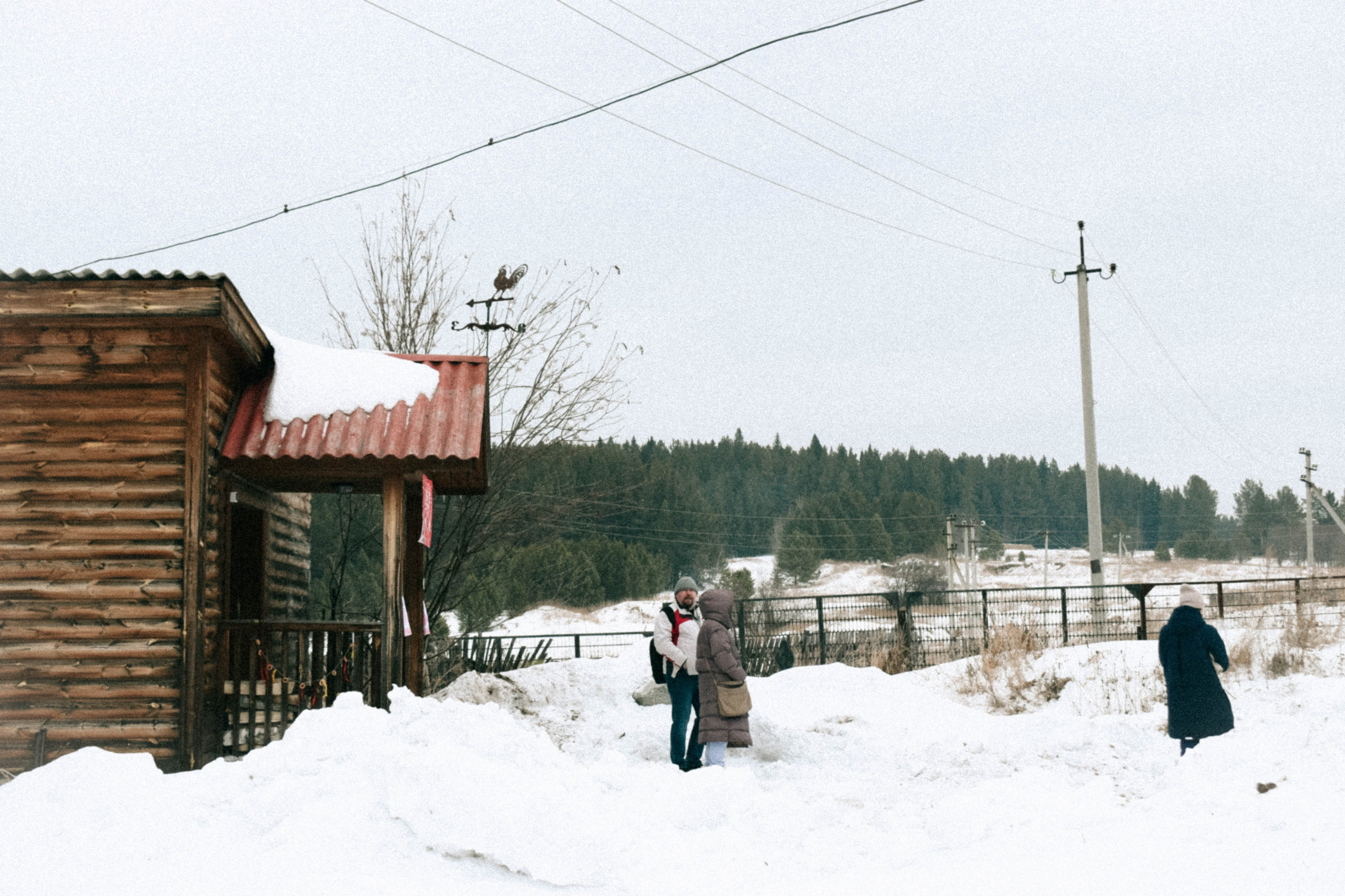 Мероприятия. Соня Мнема