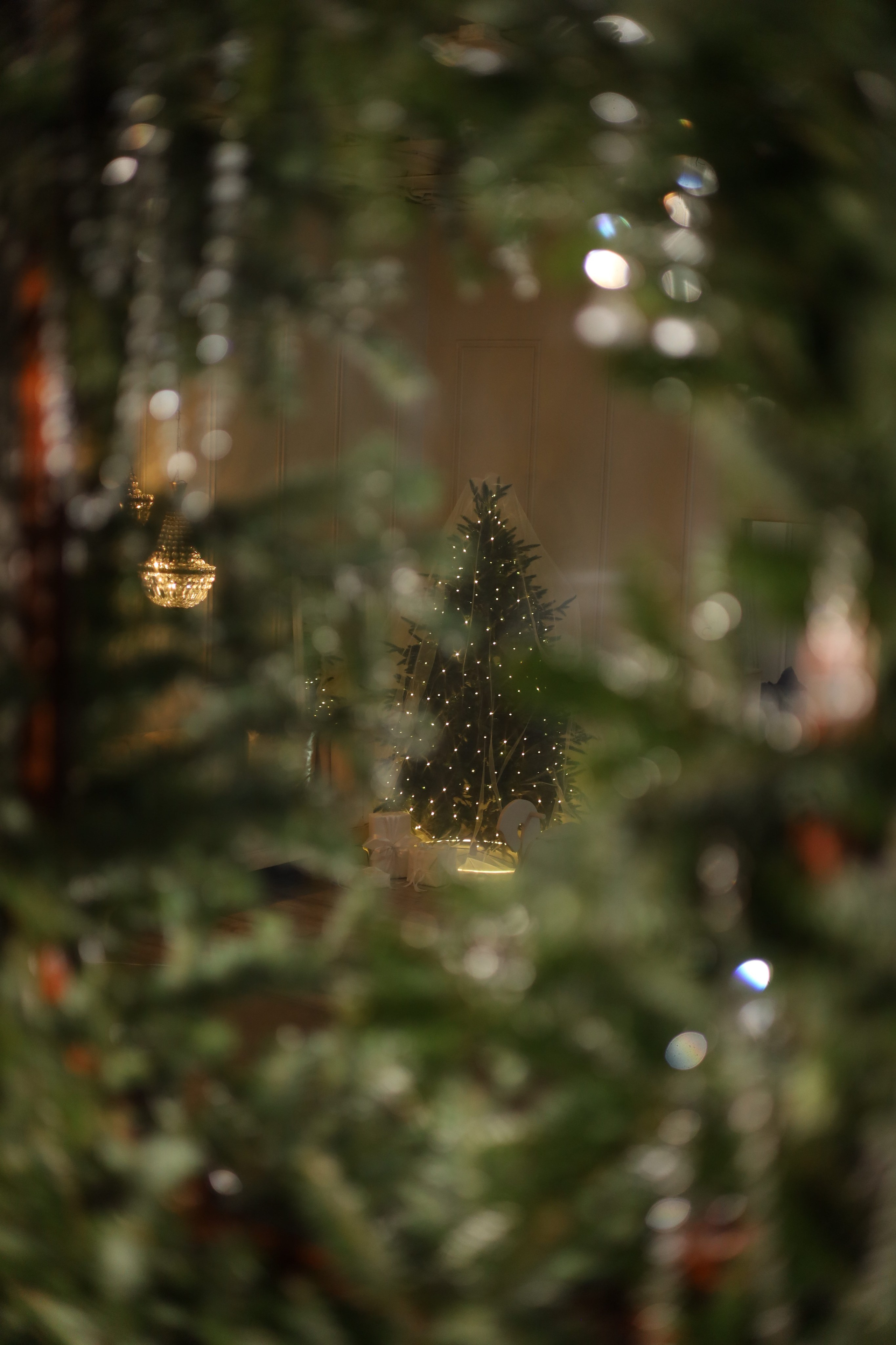 Фотостудия «Оттенки». Свадебный фотограф в Ростове Александра Груздева