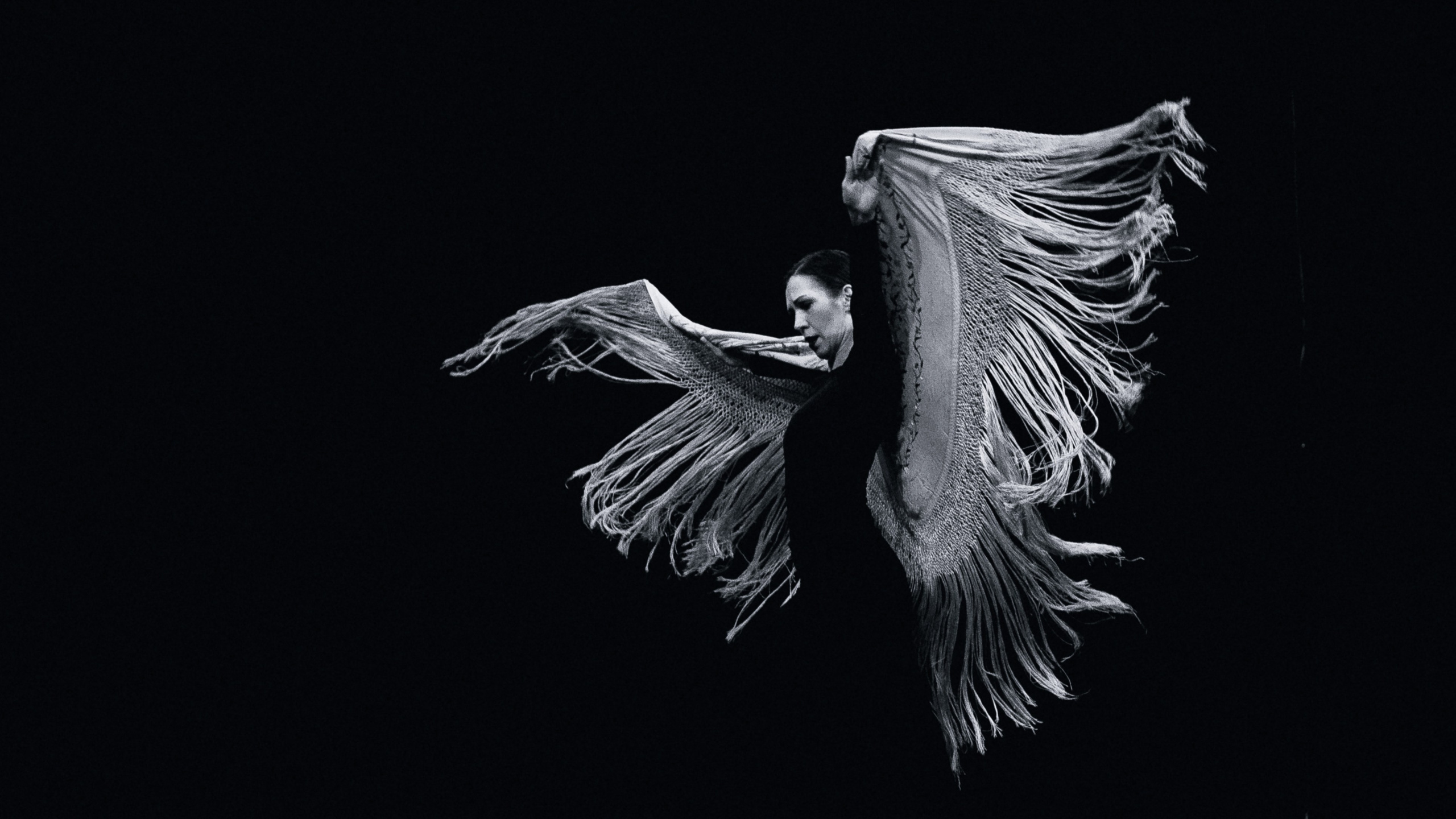 Концерт школы фламенко Los Tacones. Елена Чеснокова спортивный фотограф во Владимире и Белграде