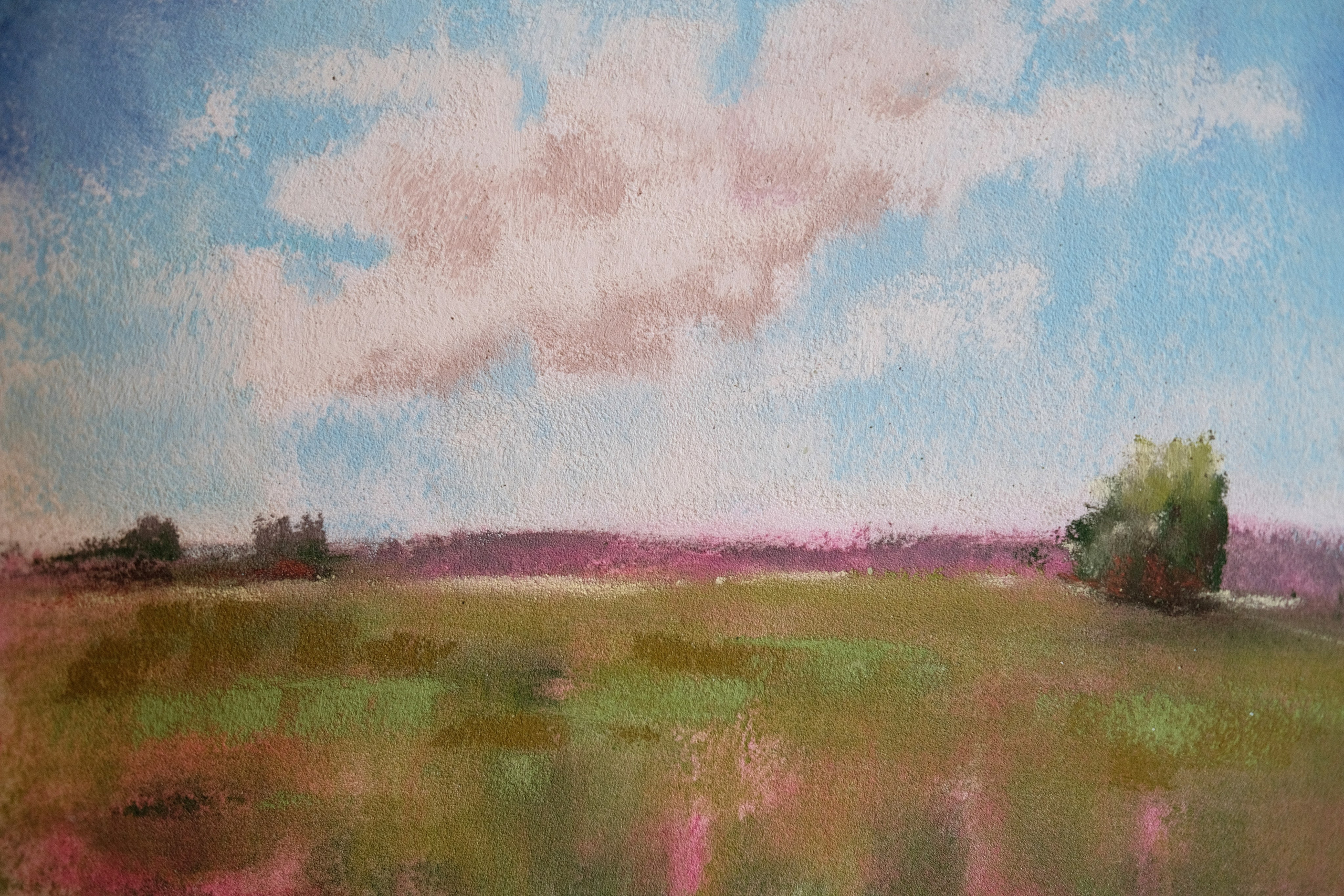 Аня Степанова