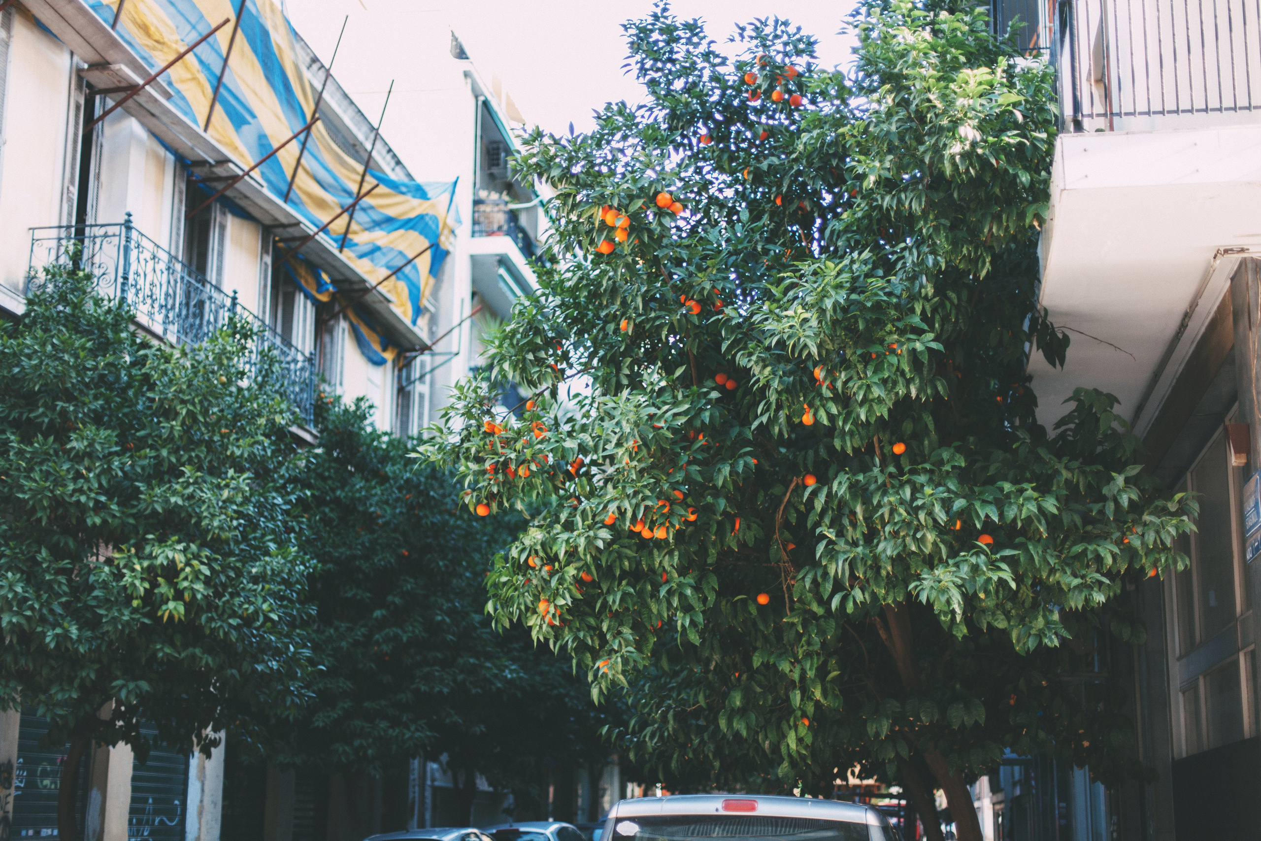 Афины. Аня Степанова