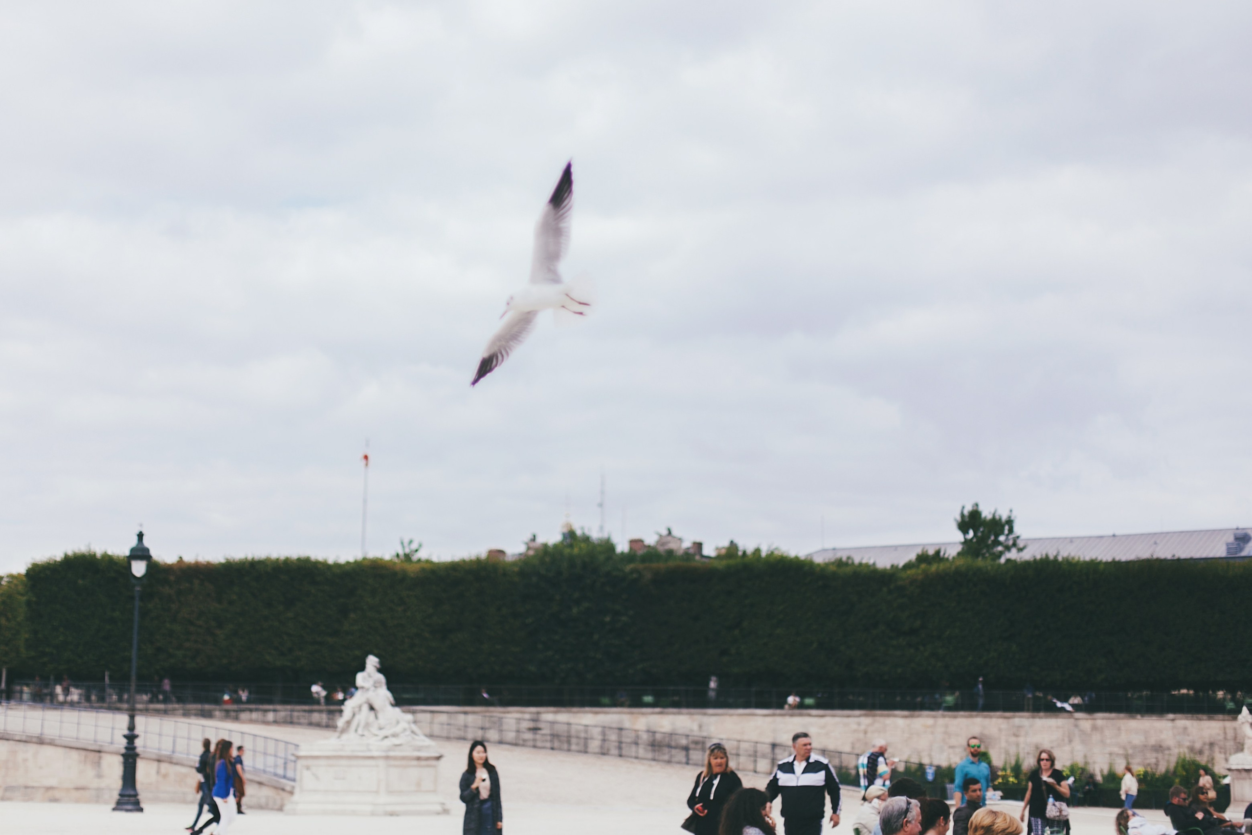 Париж. Аня Степанова