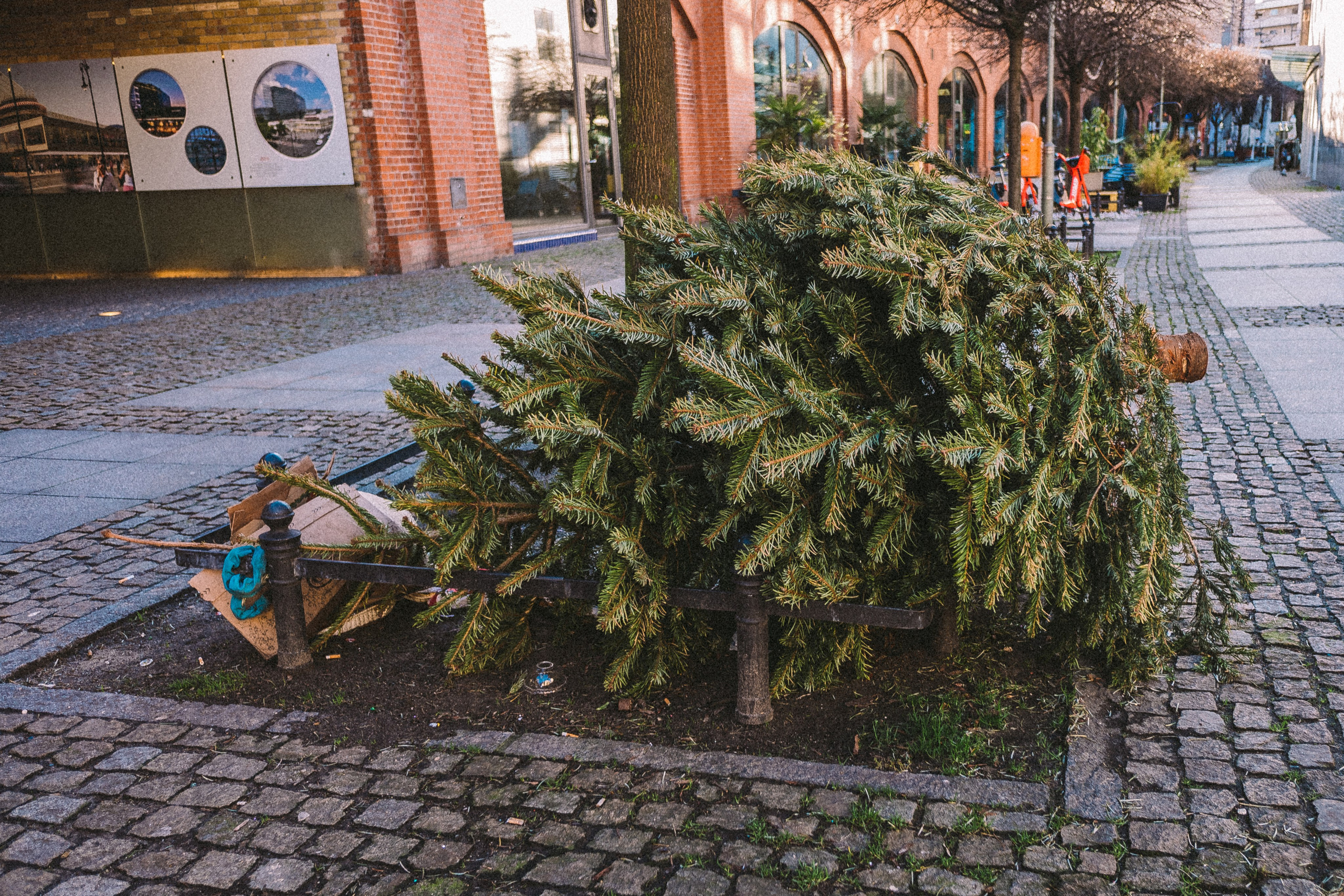 Берлин. Аня Степанова