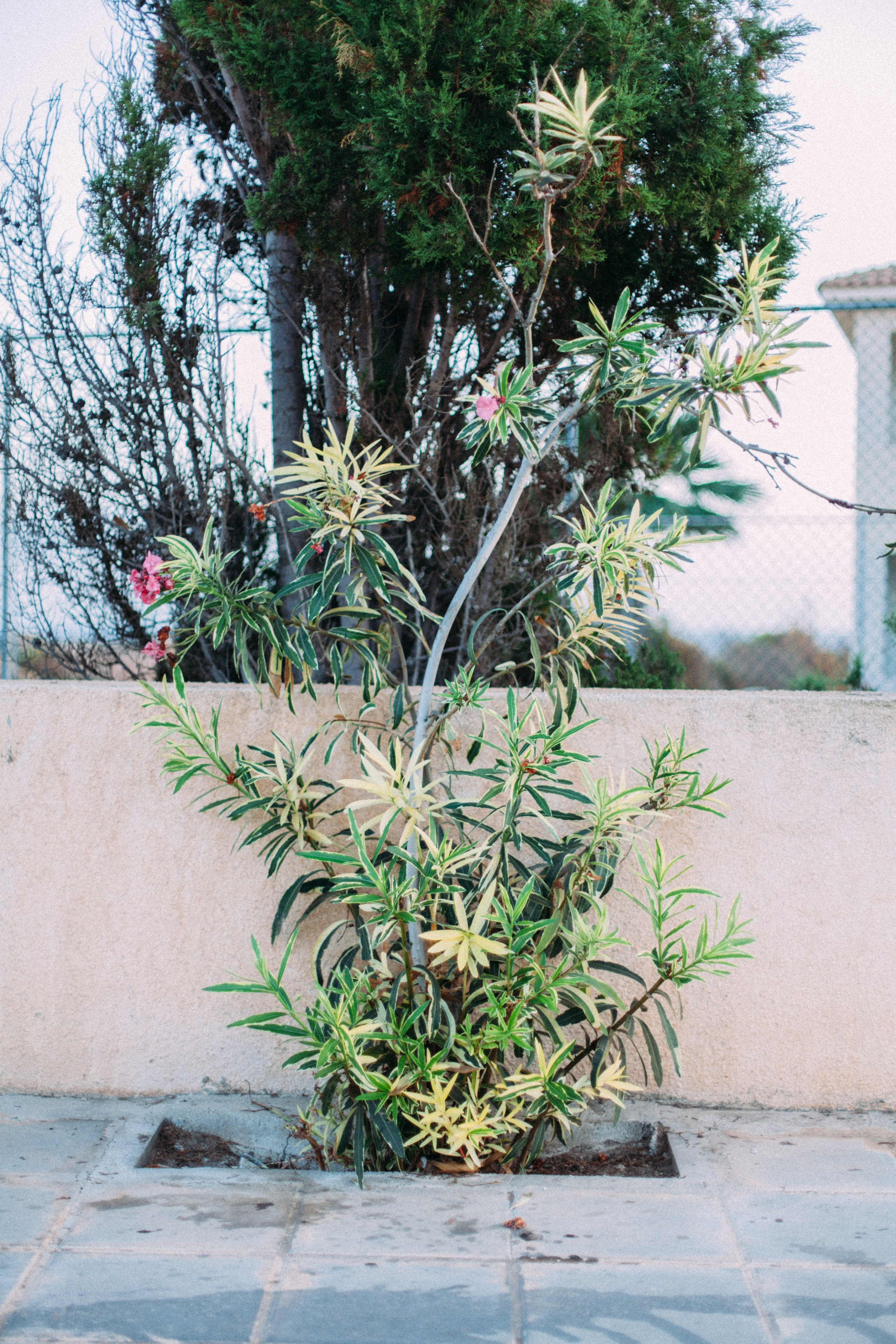 Кипр. Аня Степанова