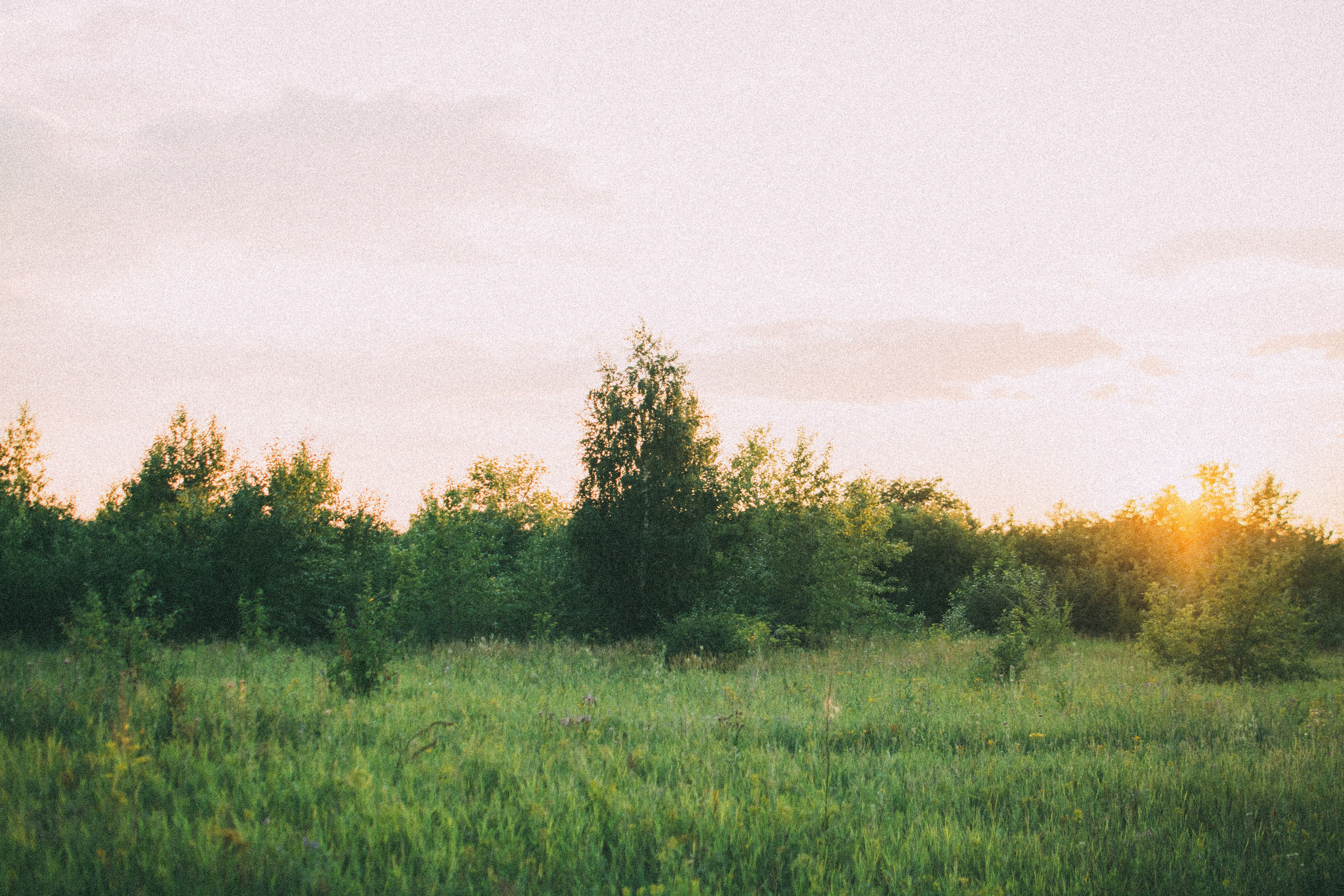 Лиза. Денис Прохоров Фотограф в г. Магнитогорск