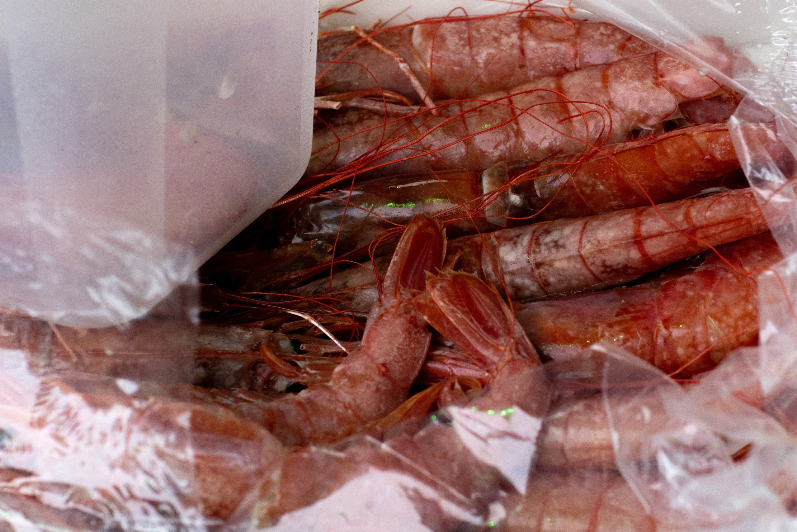 Открытие VICE CITY