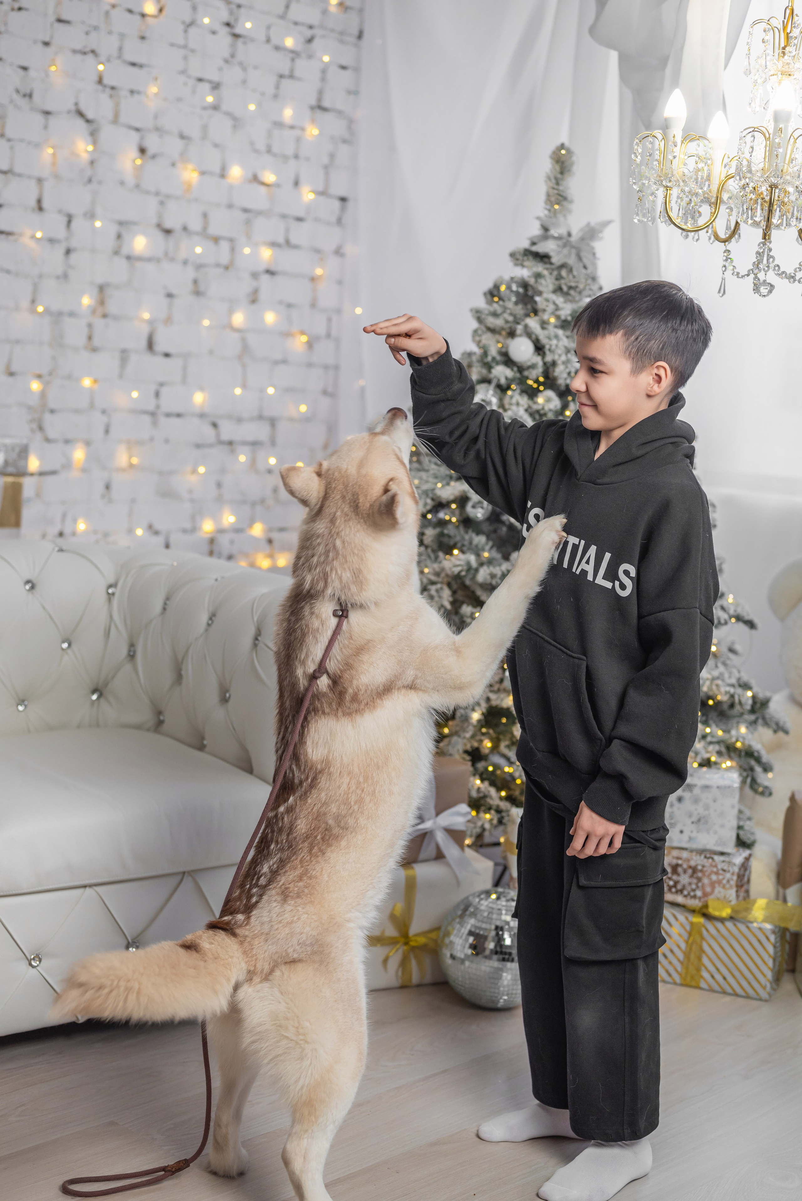 Фотопроект с хаски. Фотограф в городе Салават