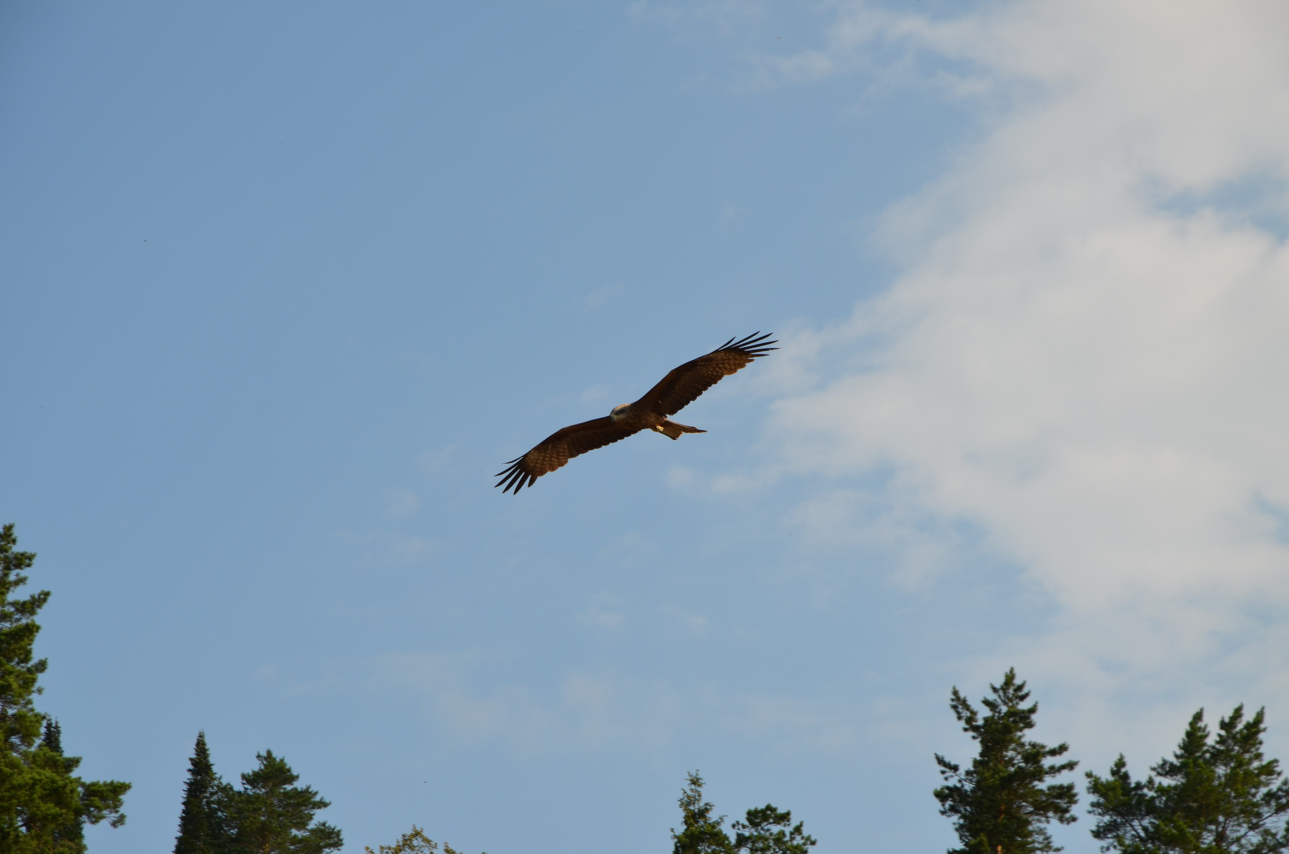 Фото. Ильнур Таминдаров