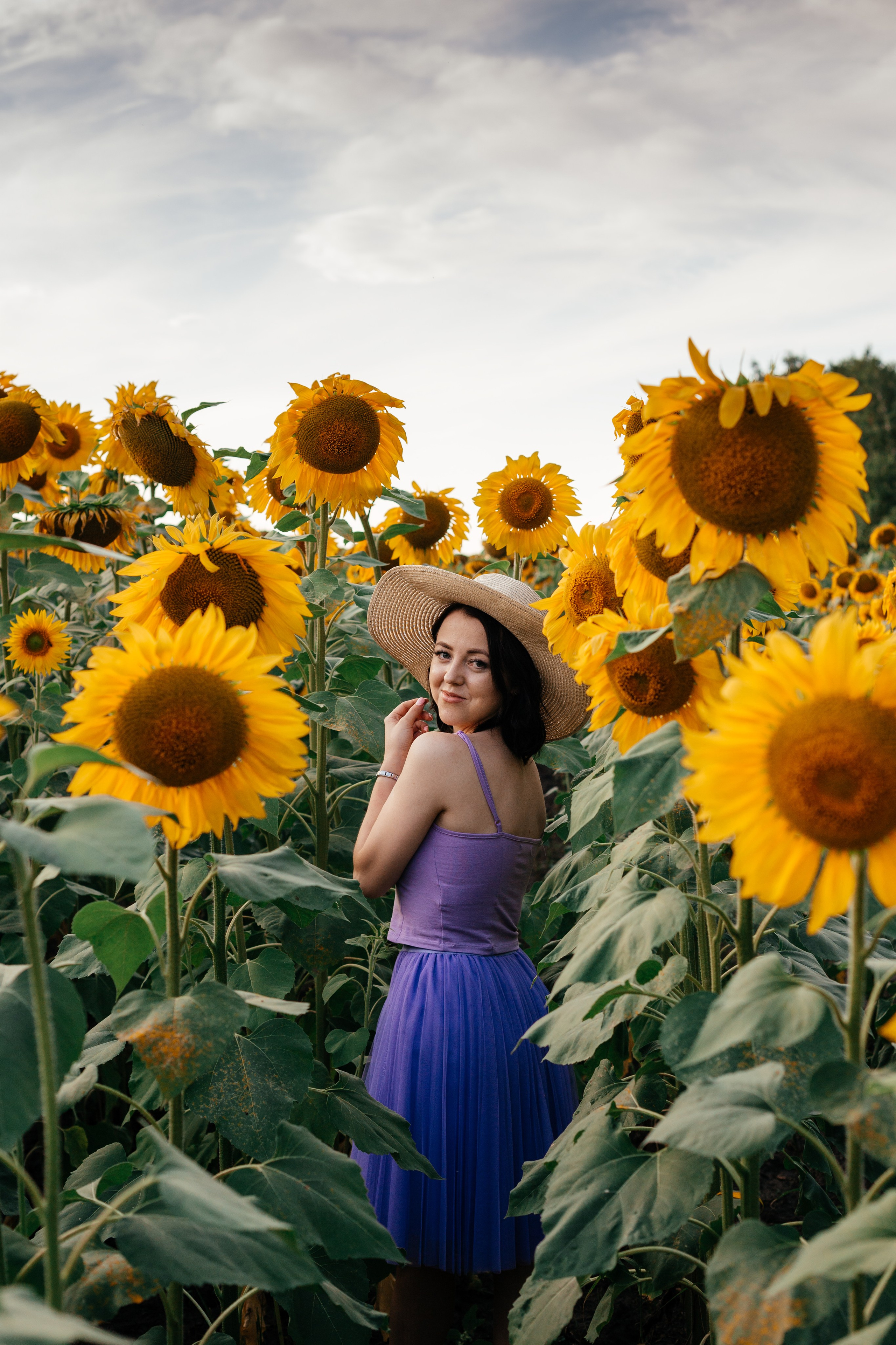 Подсолнухи. Фотограф в Барнауле Ирина Чикалова