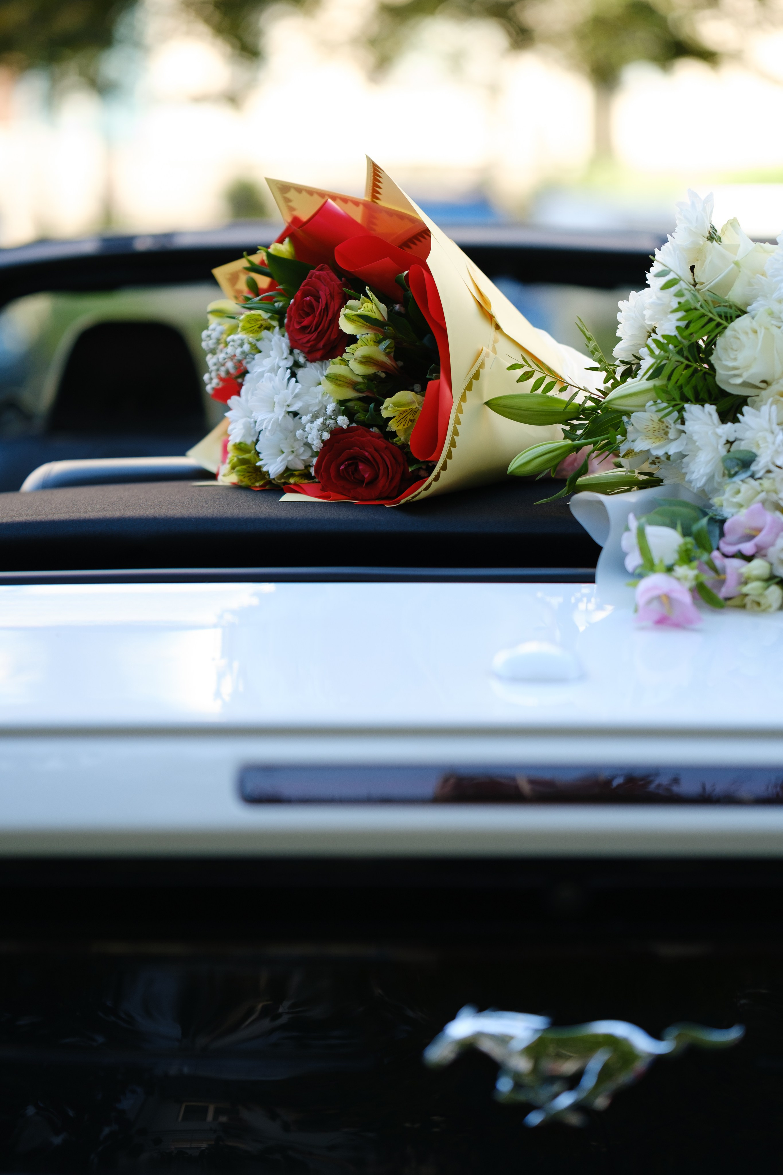 Анонс съёмки. Виктор и Анастасия. Professional photoartist in St. Petersburg (wedding, reportage, portrait, model book, love story) Alexander Shvedov